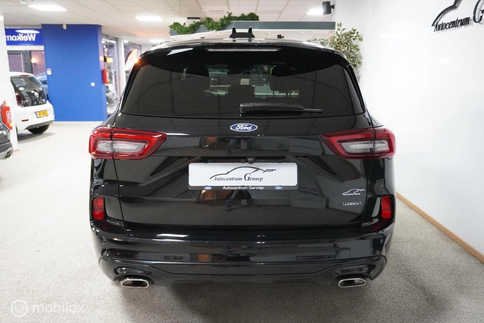Hoofdafbeelding Ford Kuga