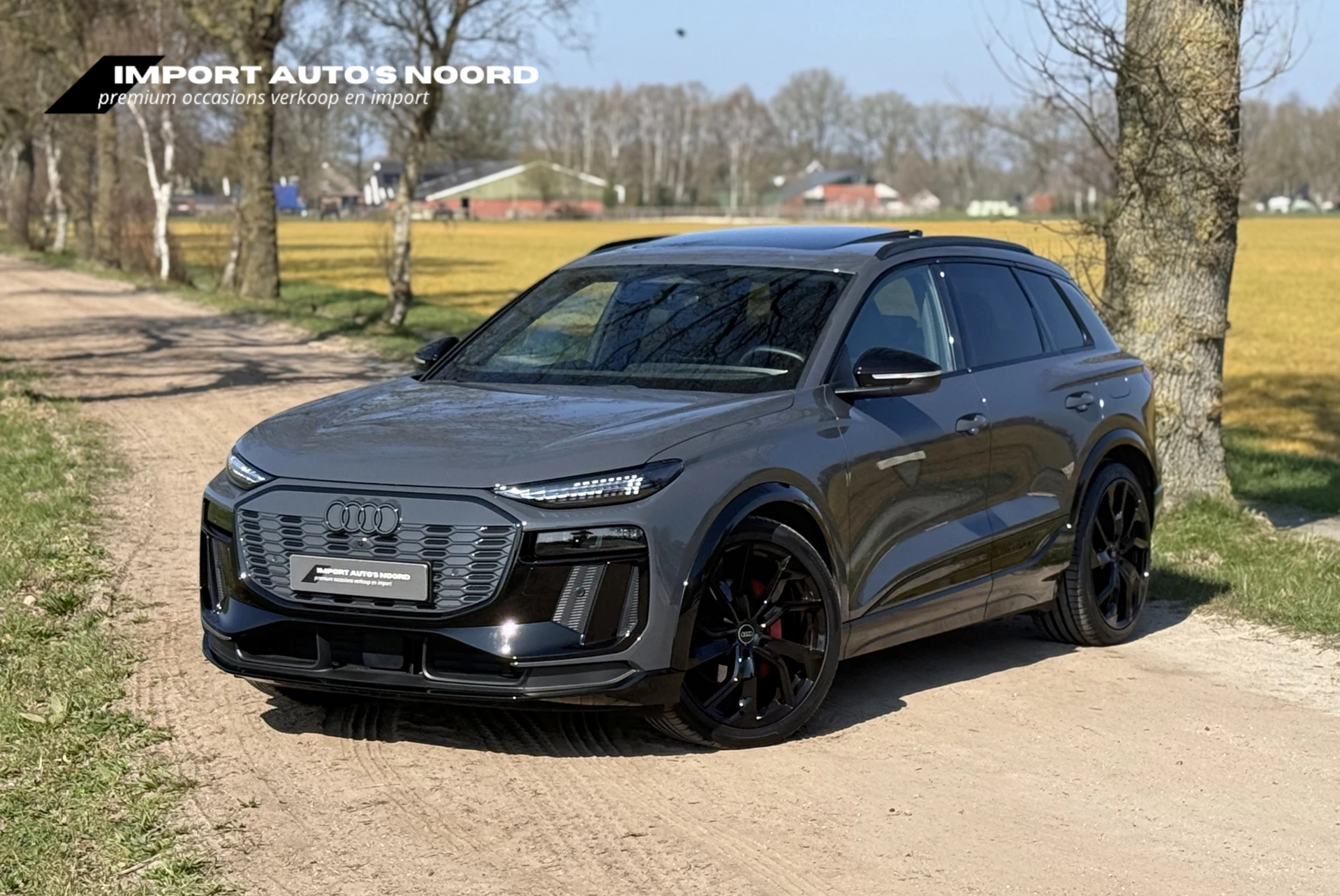 Hoofdafbeelding Audi Q6 e-tron