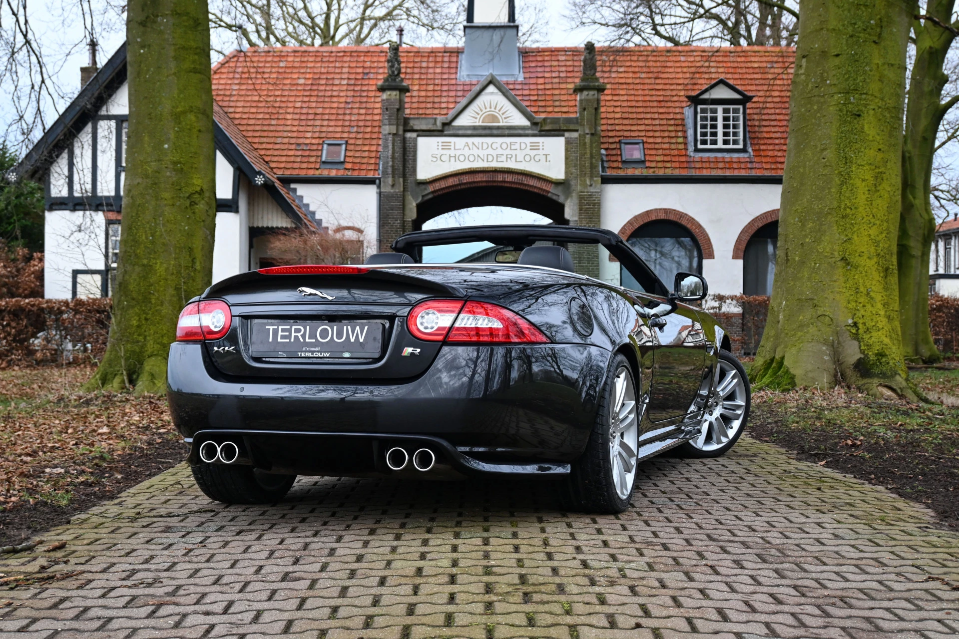 Hoofdafbeelding Jaguar XK