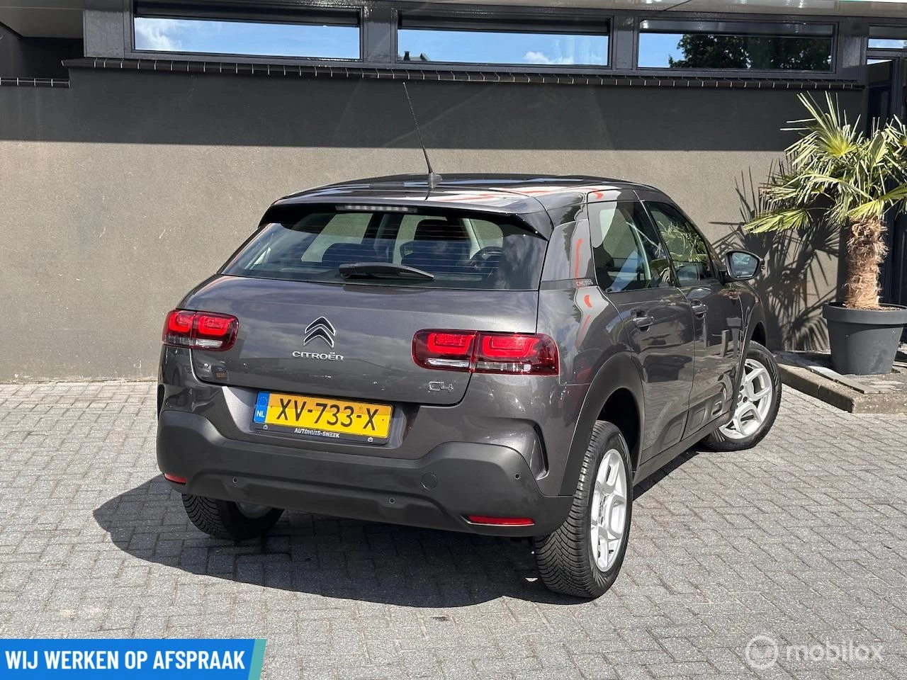 Hoofdafbeelding Citroën C4 Cactus