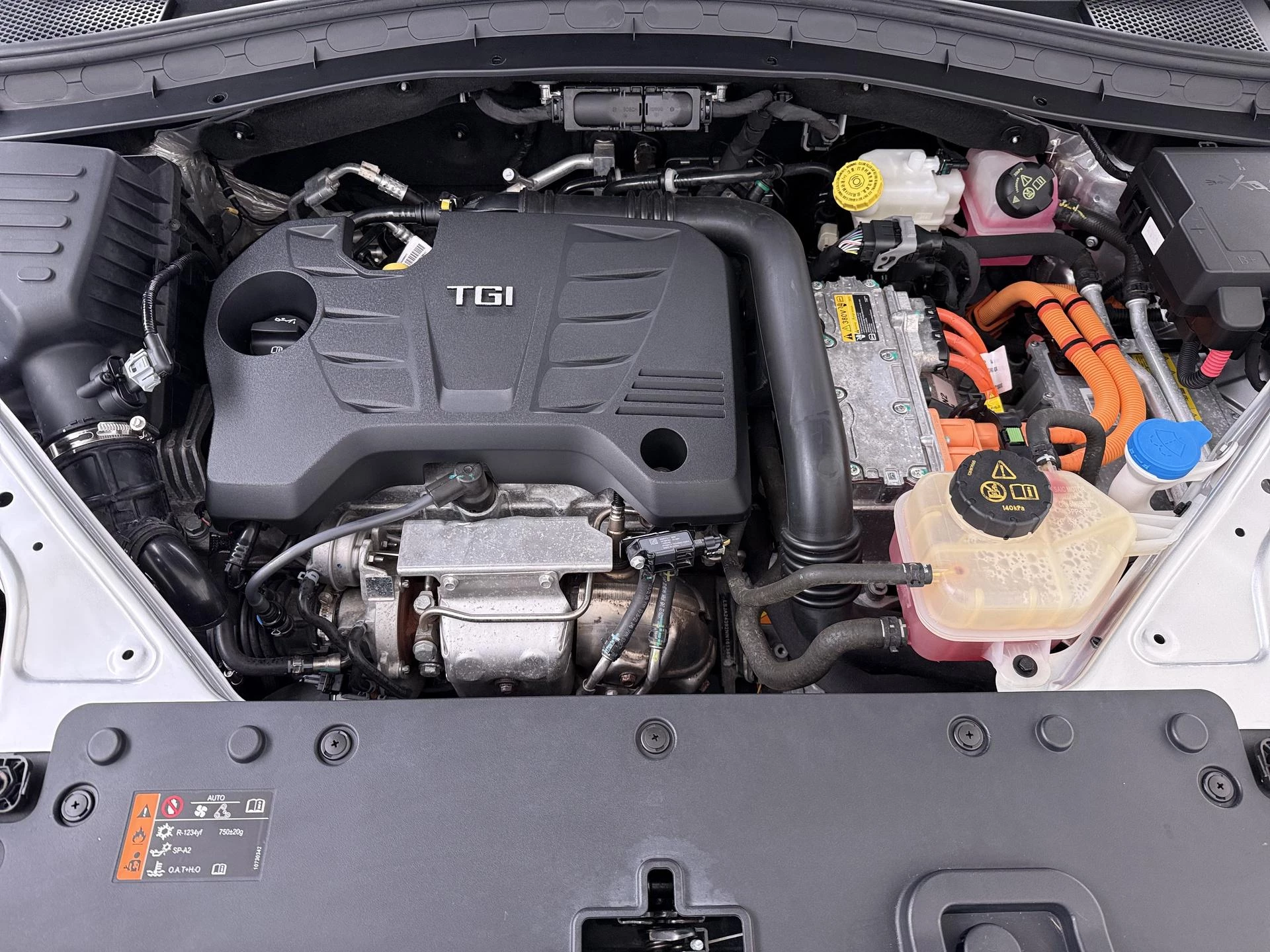 Hoofdafbeelding MG EHS