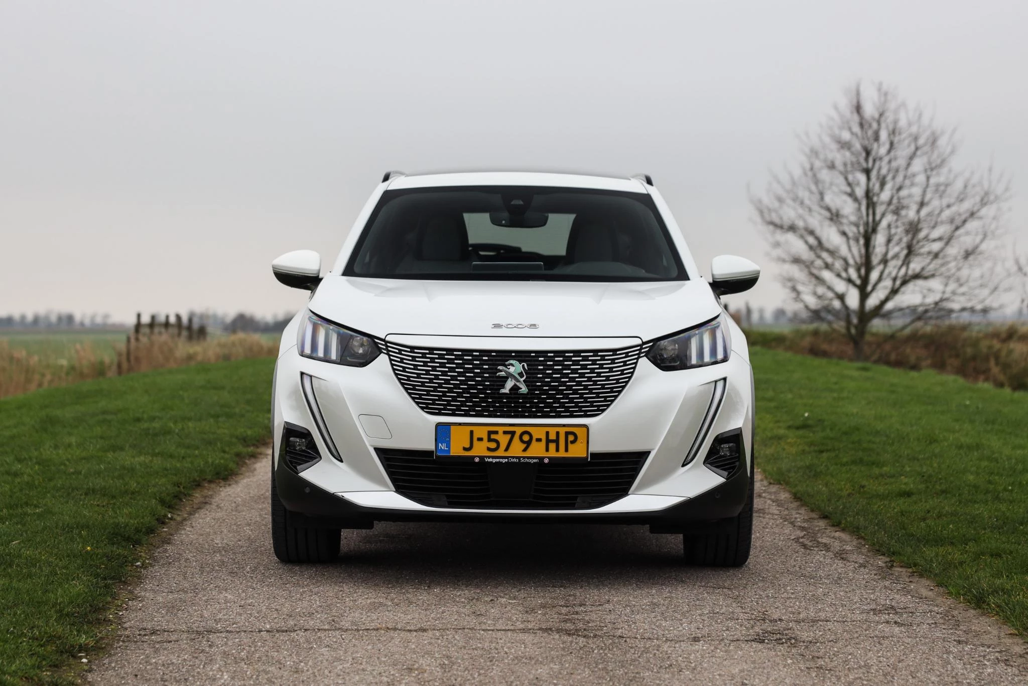 Hoofdafbeelding Peugeot e-2008