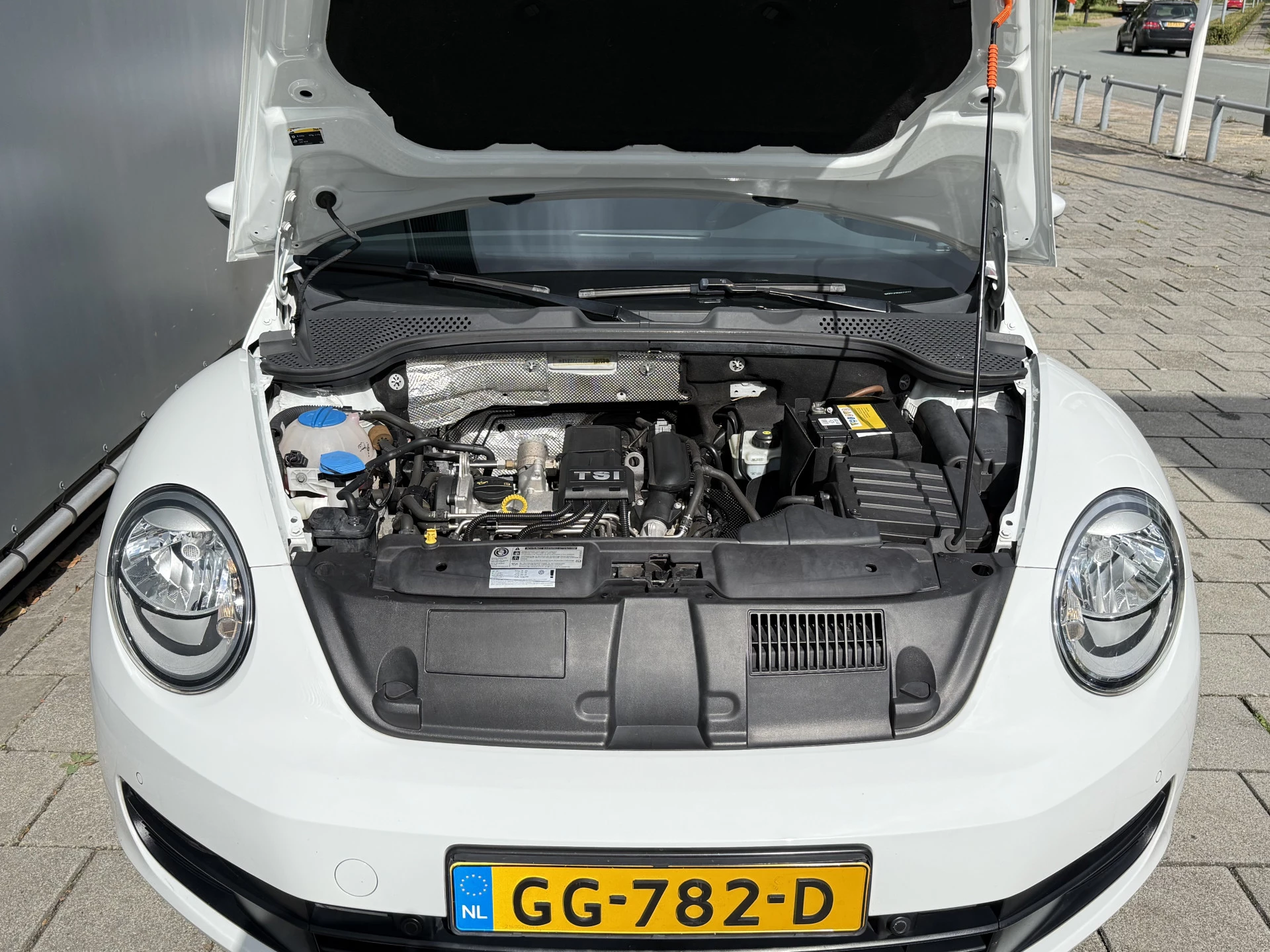 Hoofdafbeelding Volkswagen Beetle