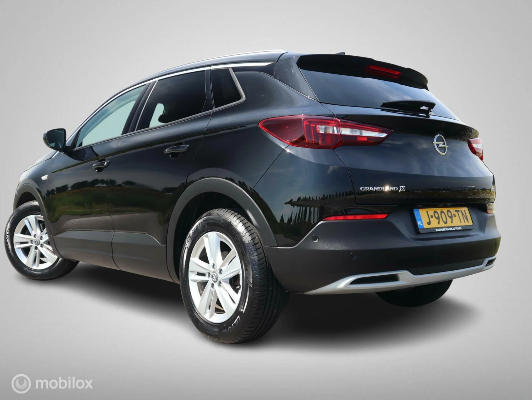 Hoofdafbeelding Opel Grandland X