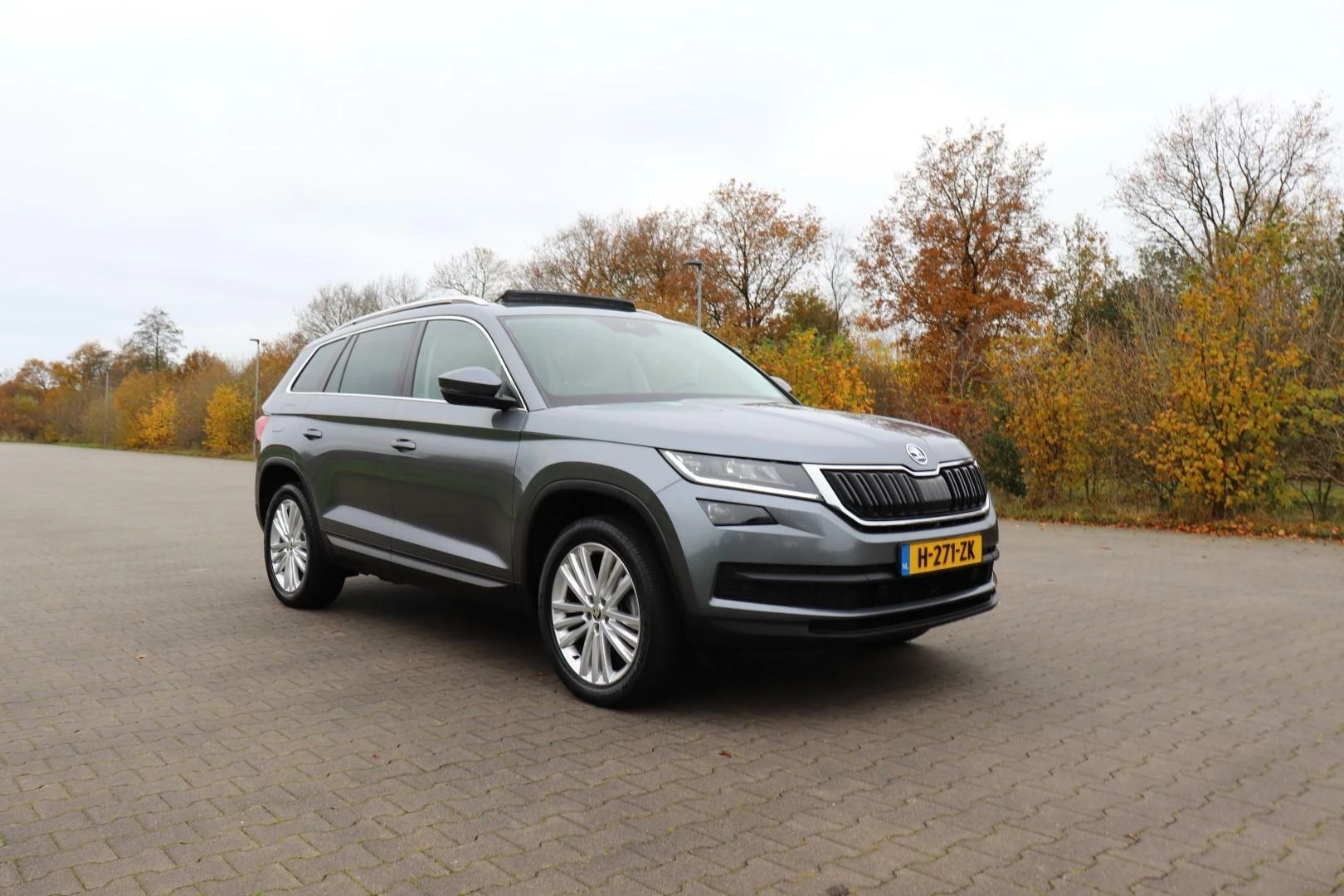 Hoofdafbeelding Škoda Kodiaq