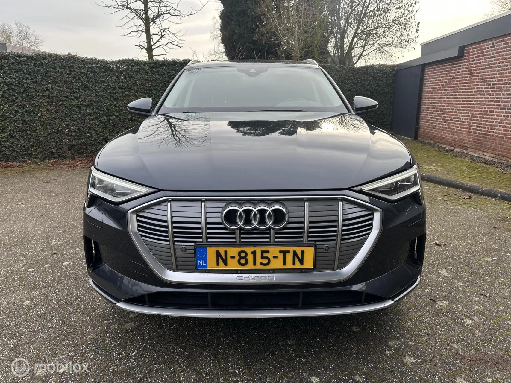 Hoofdafbeelding Audi e-tron