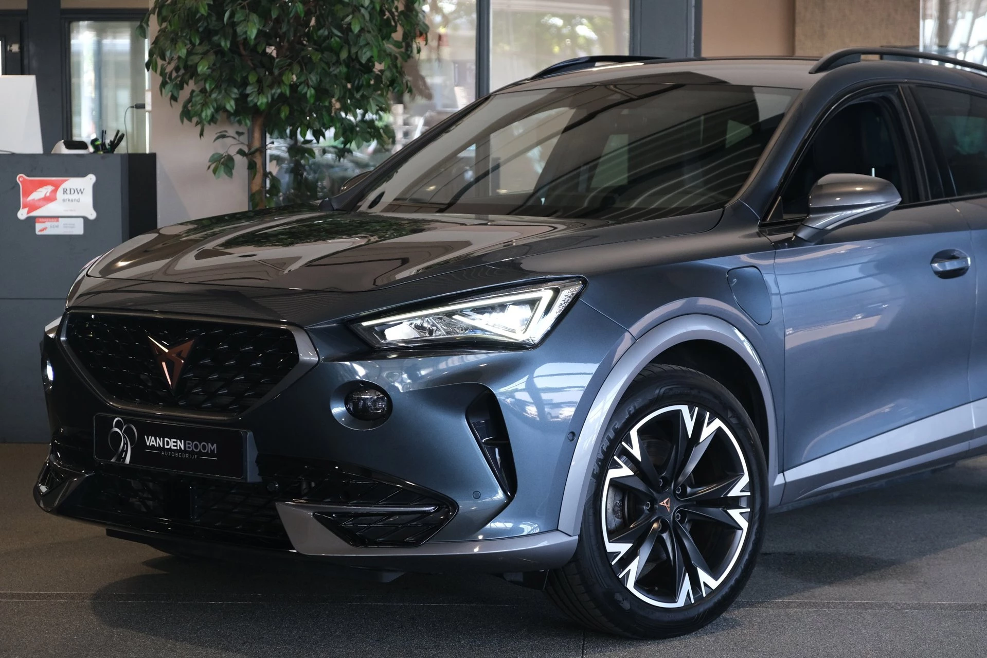 Hoofdafbeelding CUPRA Formentor