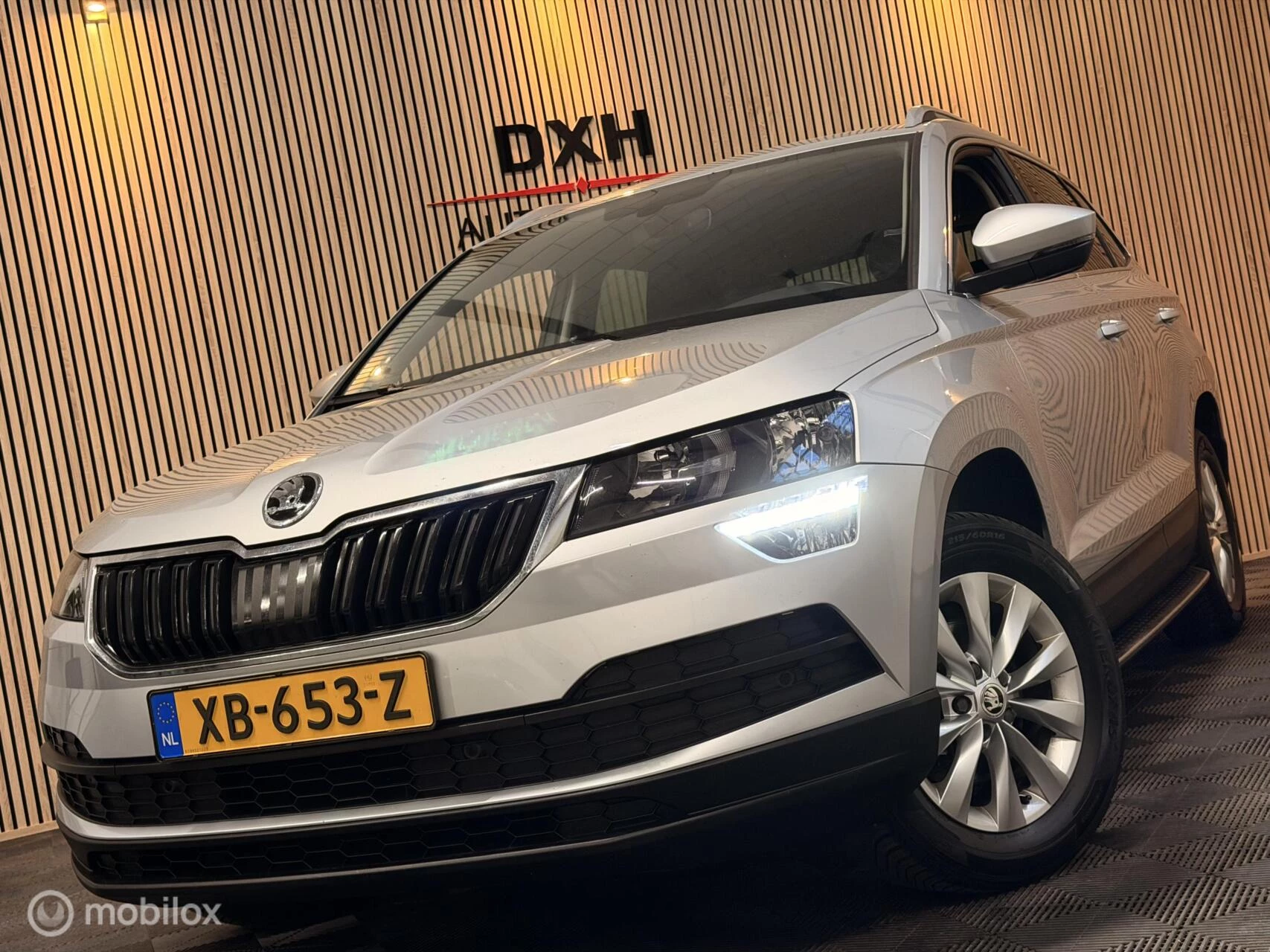Hoofdafbeelding Škoda Karoq
