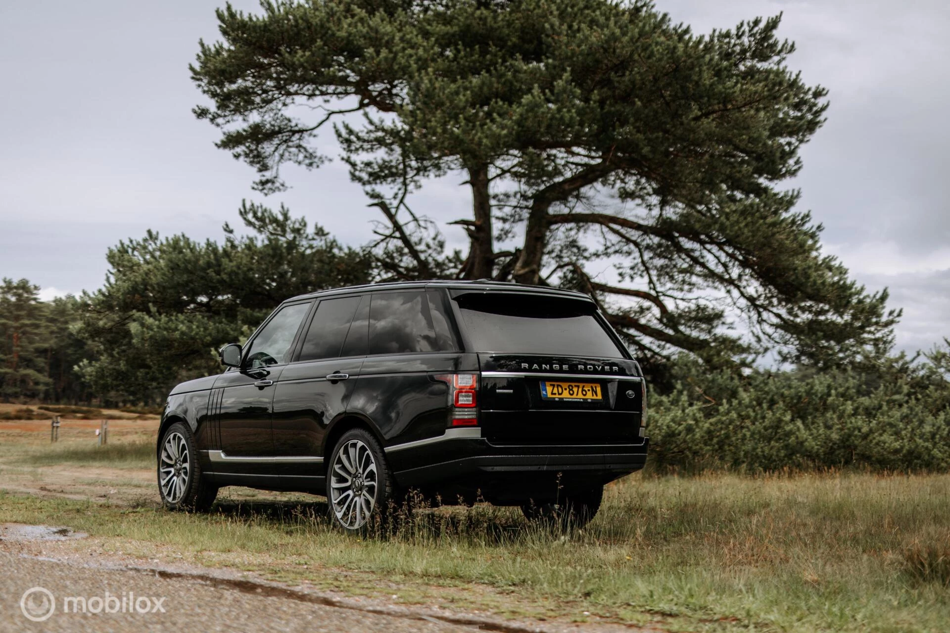 Hoofdafbeelding Land Rover Range Rover
