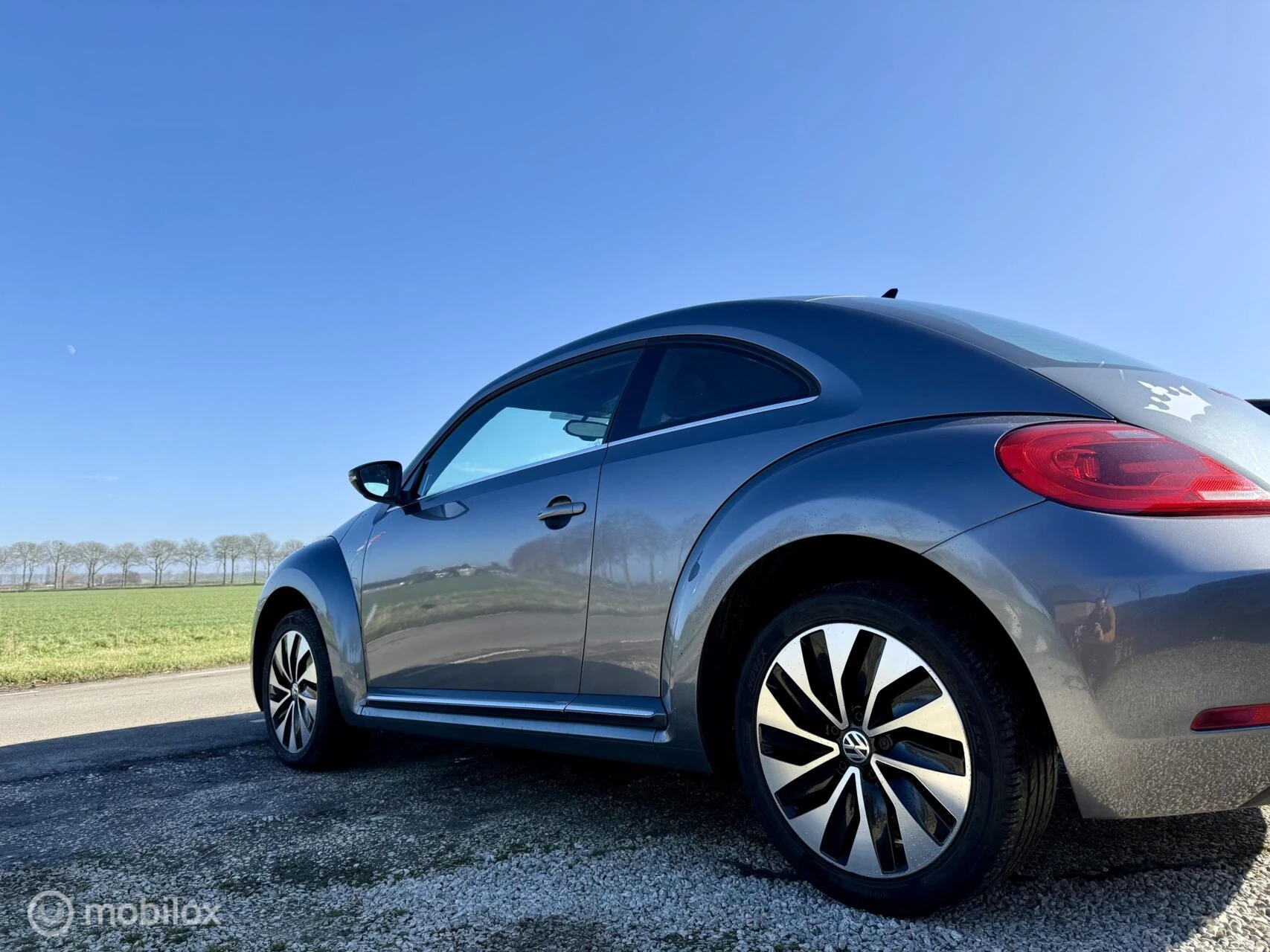 Hoofdafbeelding Volkswagen Beetle