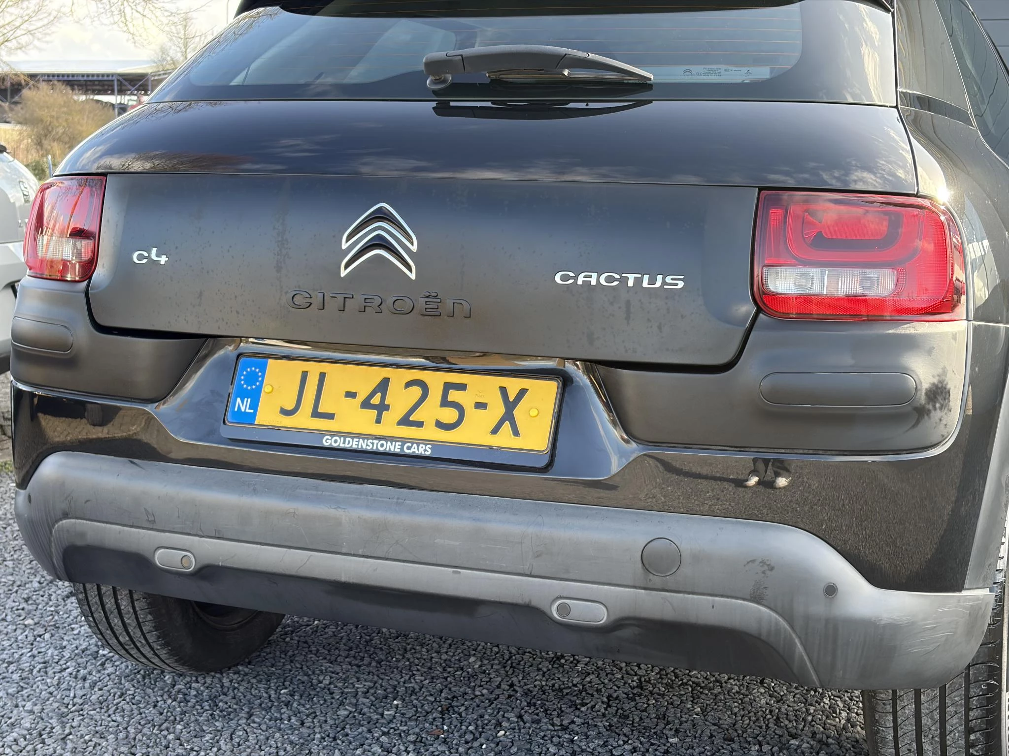 Hoofdafbeelding Citroën C4 Cactus