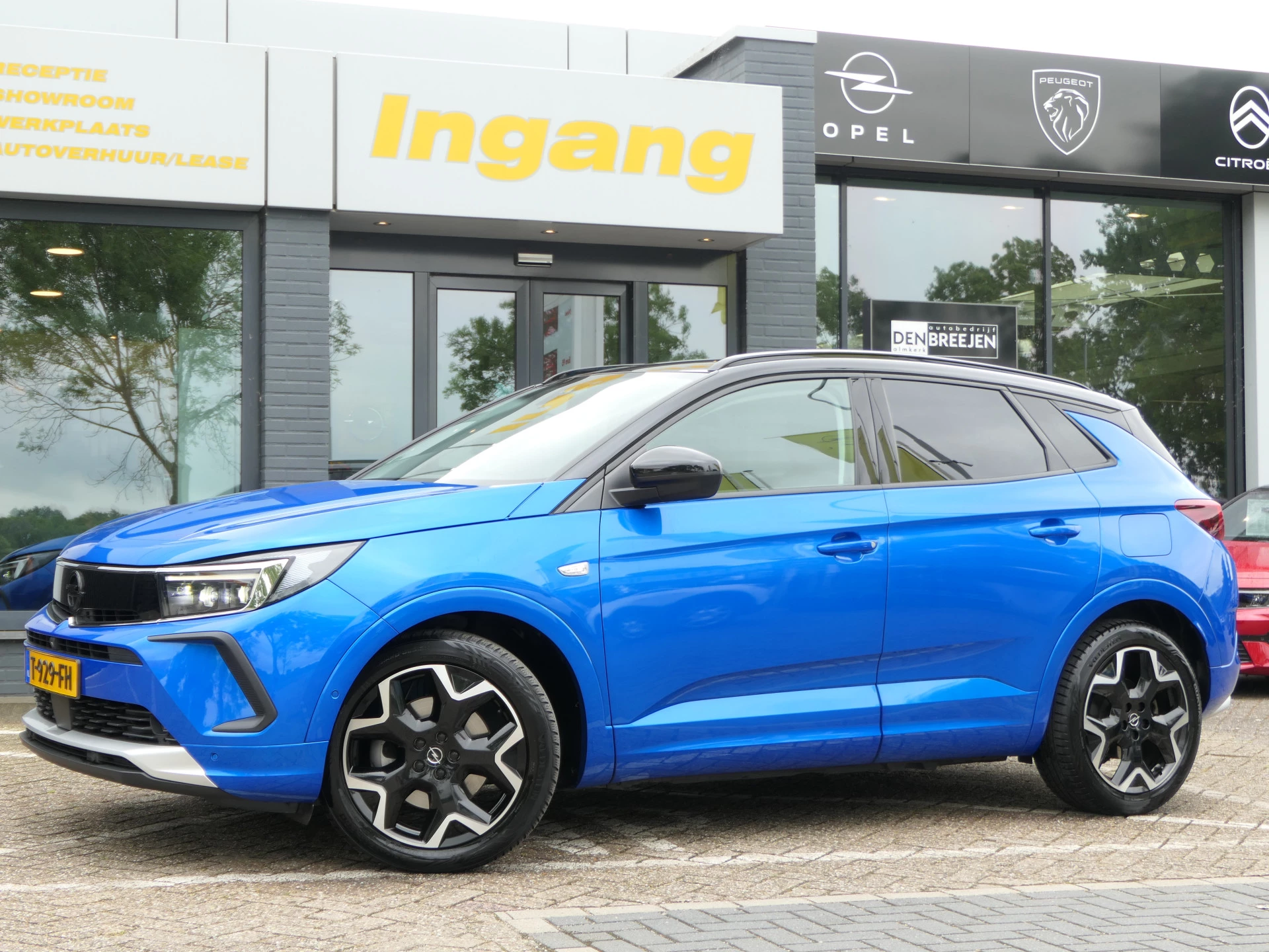 Hoofdafbeelding Opel Grandland