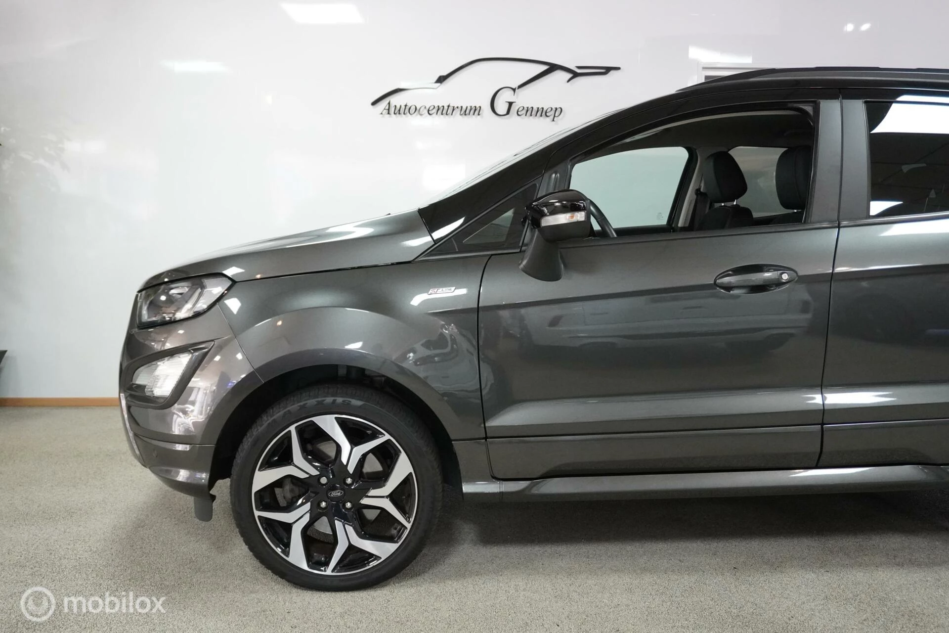 Hoofdafbeelding Ford EcoSport