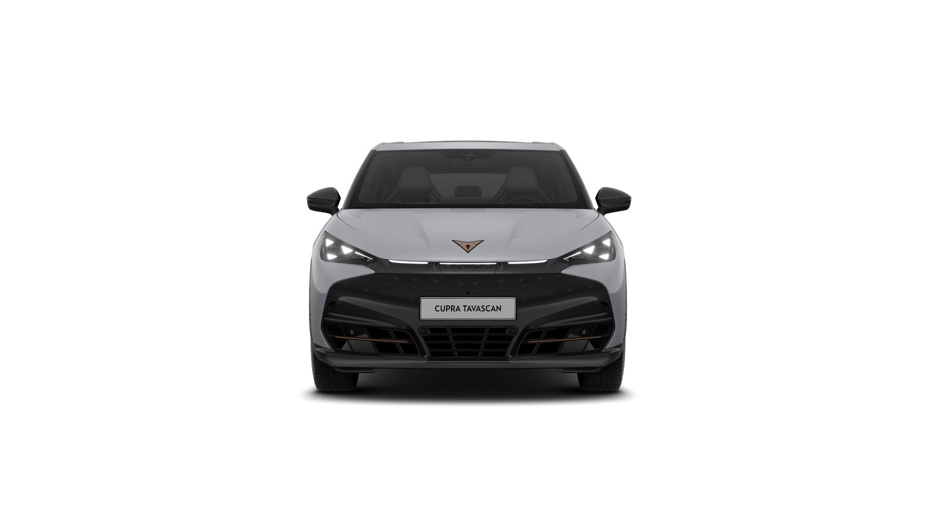 Hoofdafbeelding CUPRA Tavascan
