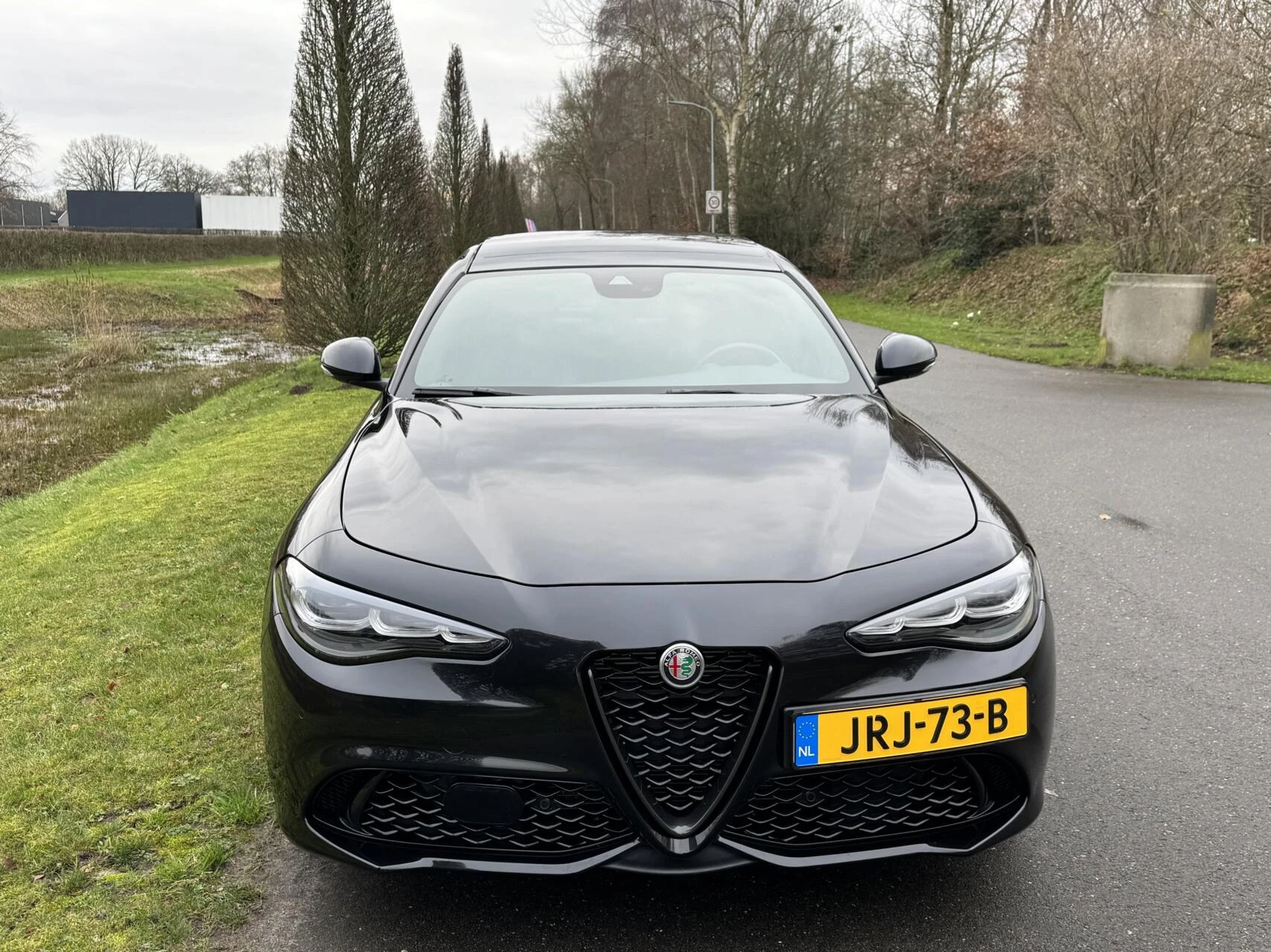 Hoofdafbeelding Alfa Romeo Giulia