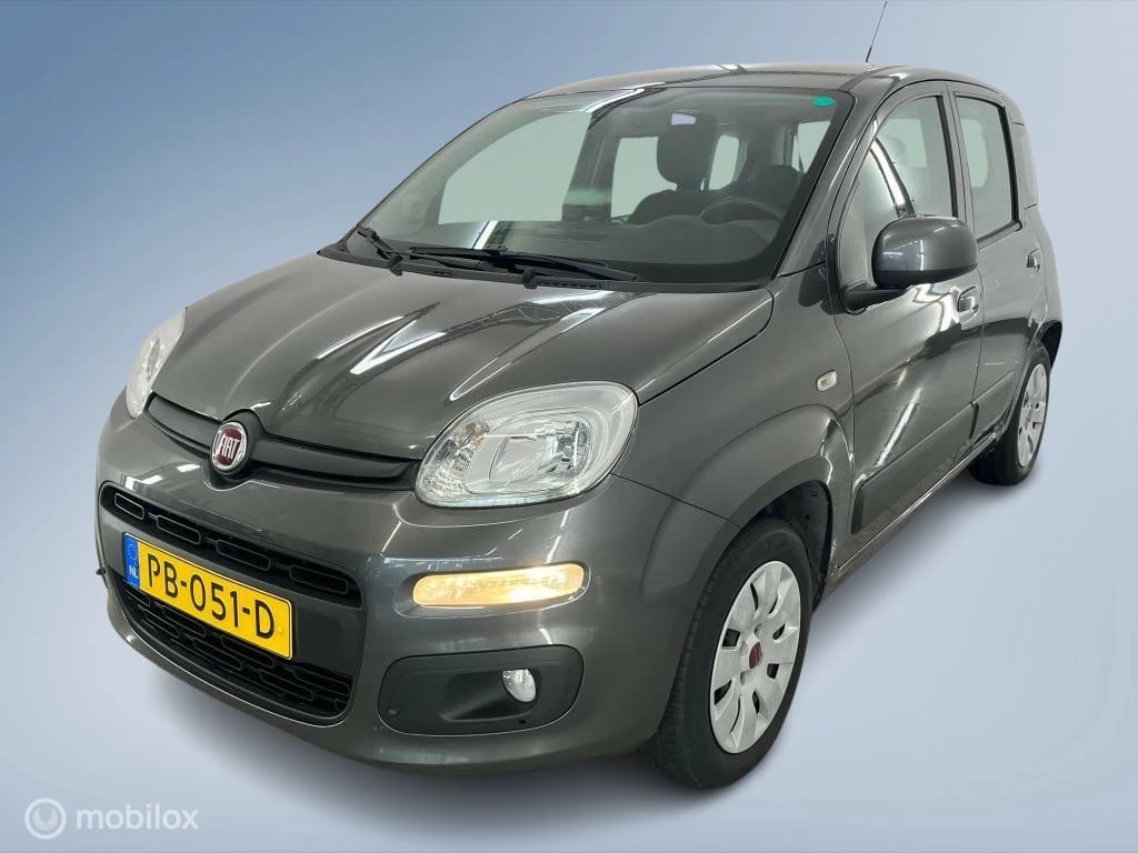 Hoofdafbeelding Fiat Panda