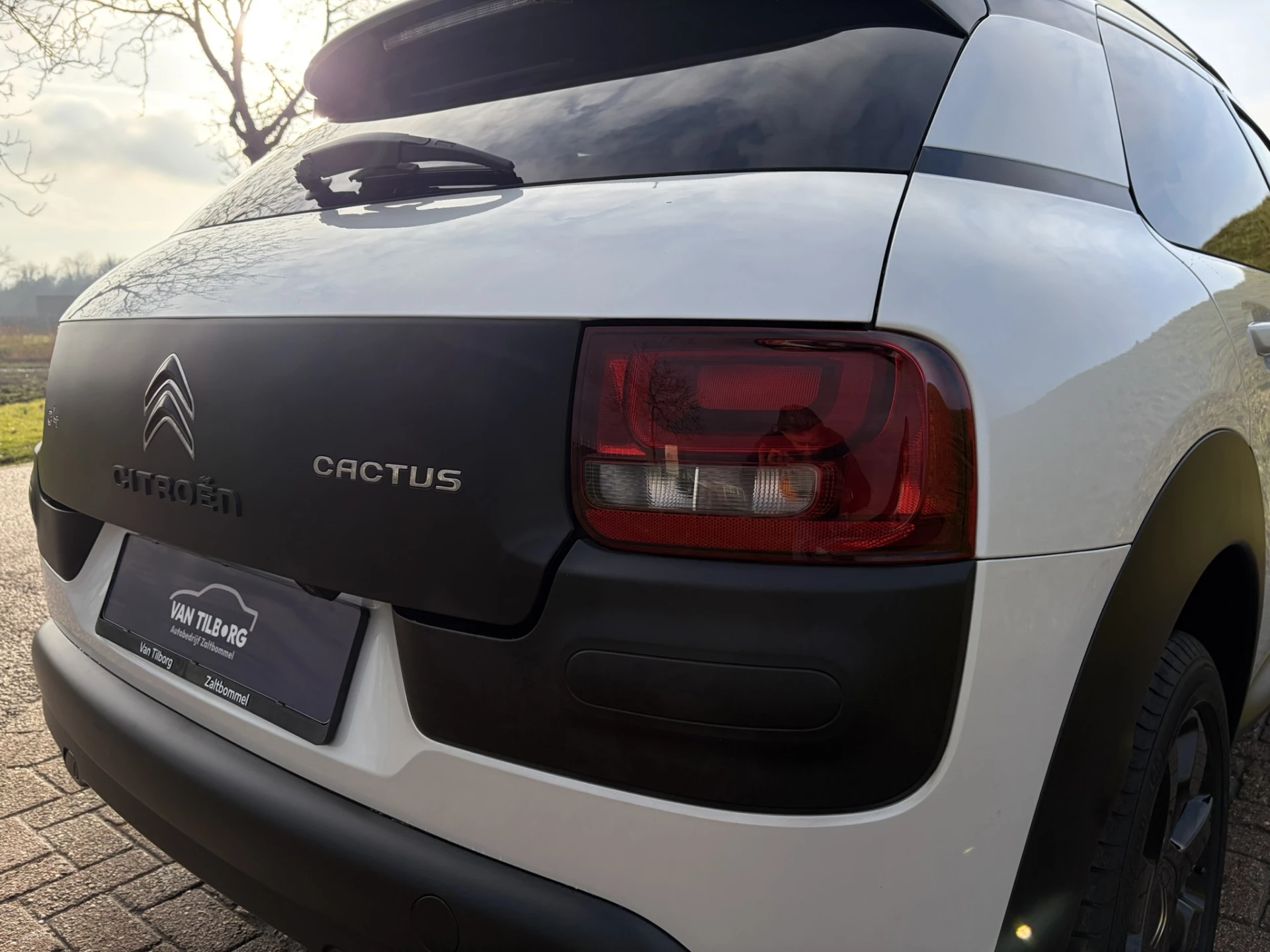 Hoofdafbeelding Citroën C4 Cactus