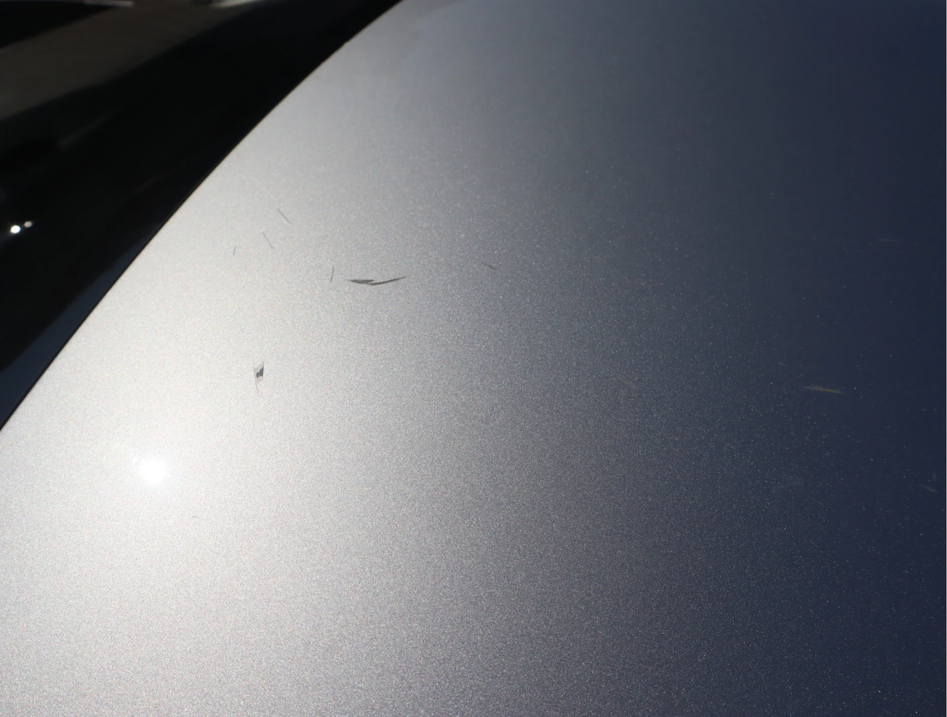 Hoofdafbeelding Škoda Rapid