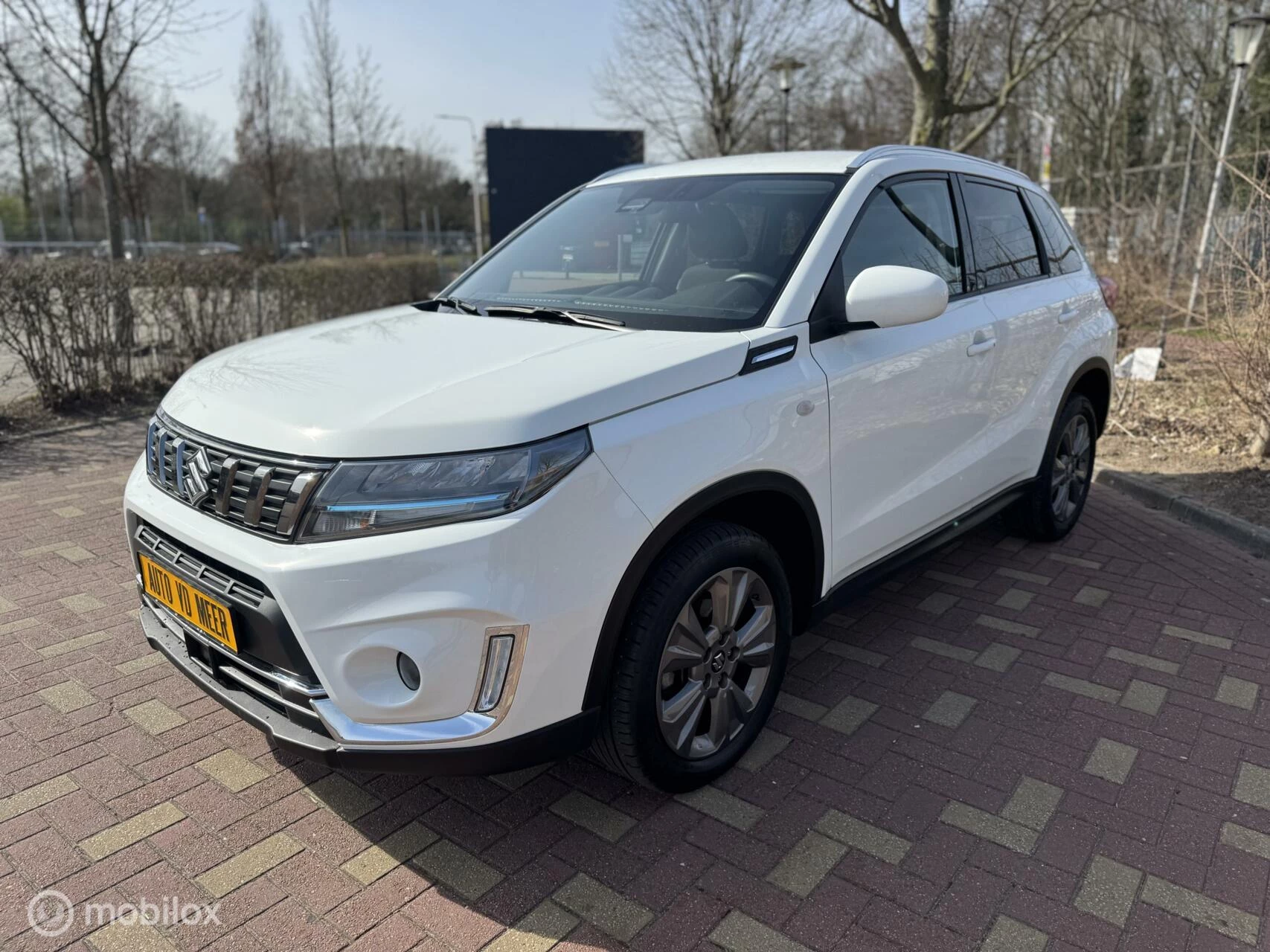 Hoofdafbeelding Suzuki Vitara