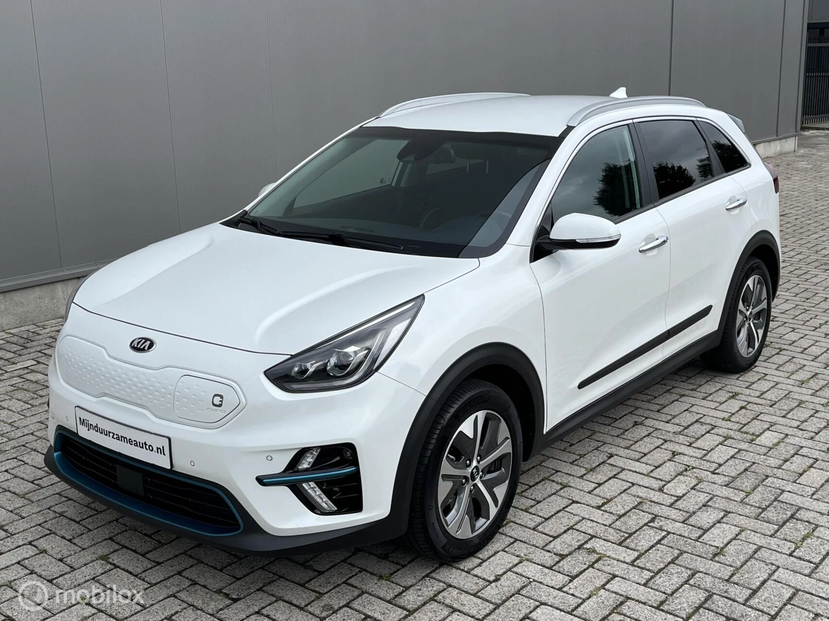 Hoofdafbeelding Kia e-Niro