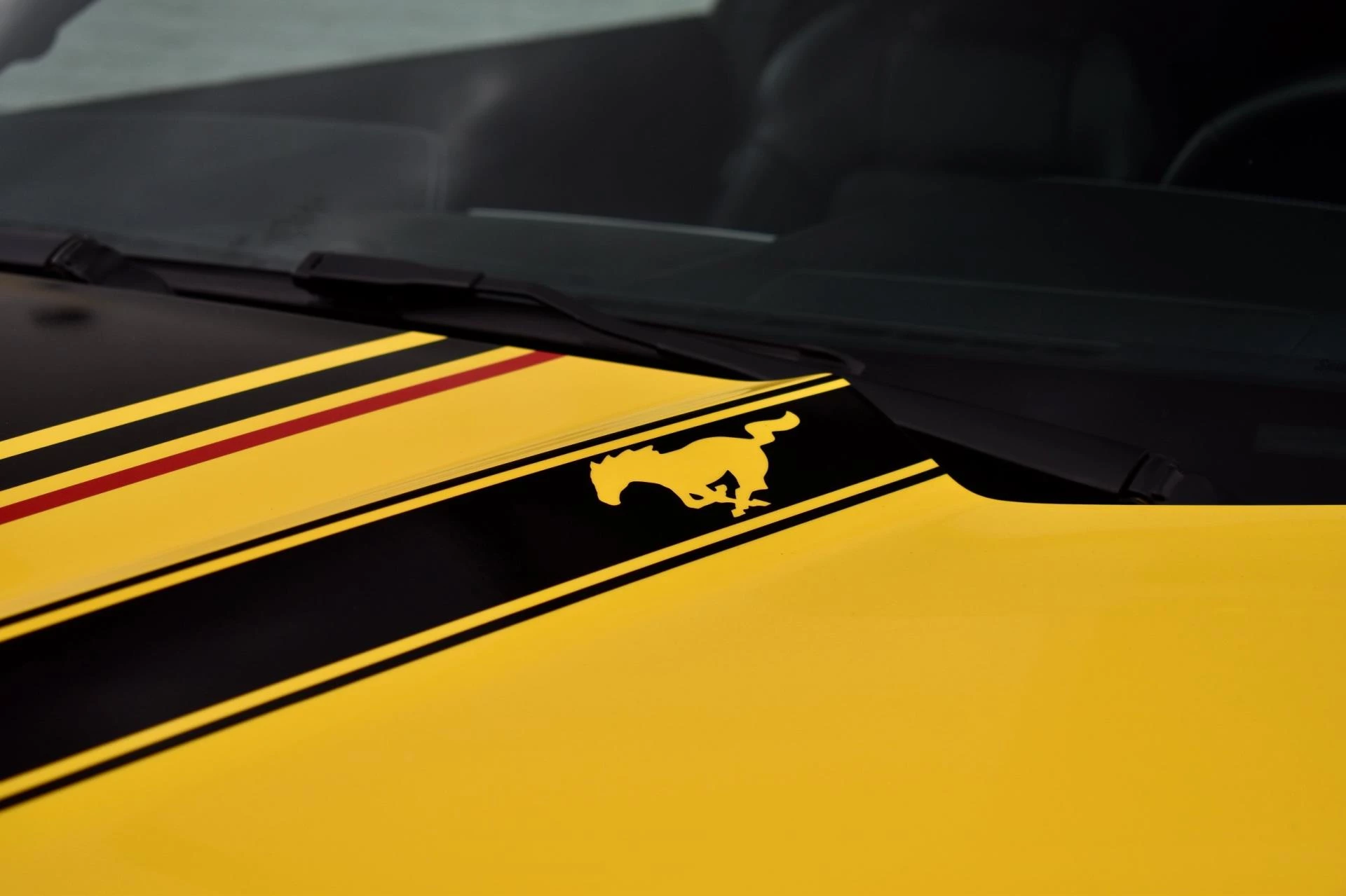 Hoofdafbeelding Ford Mustang