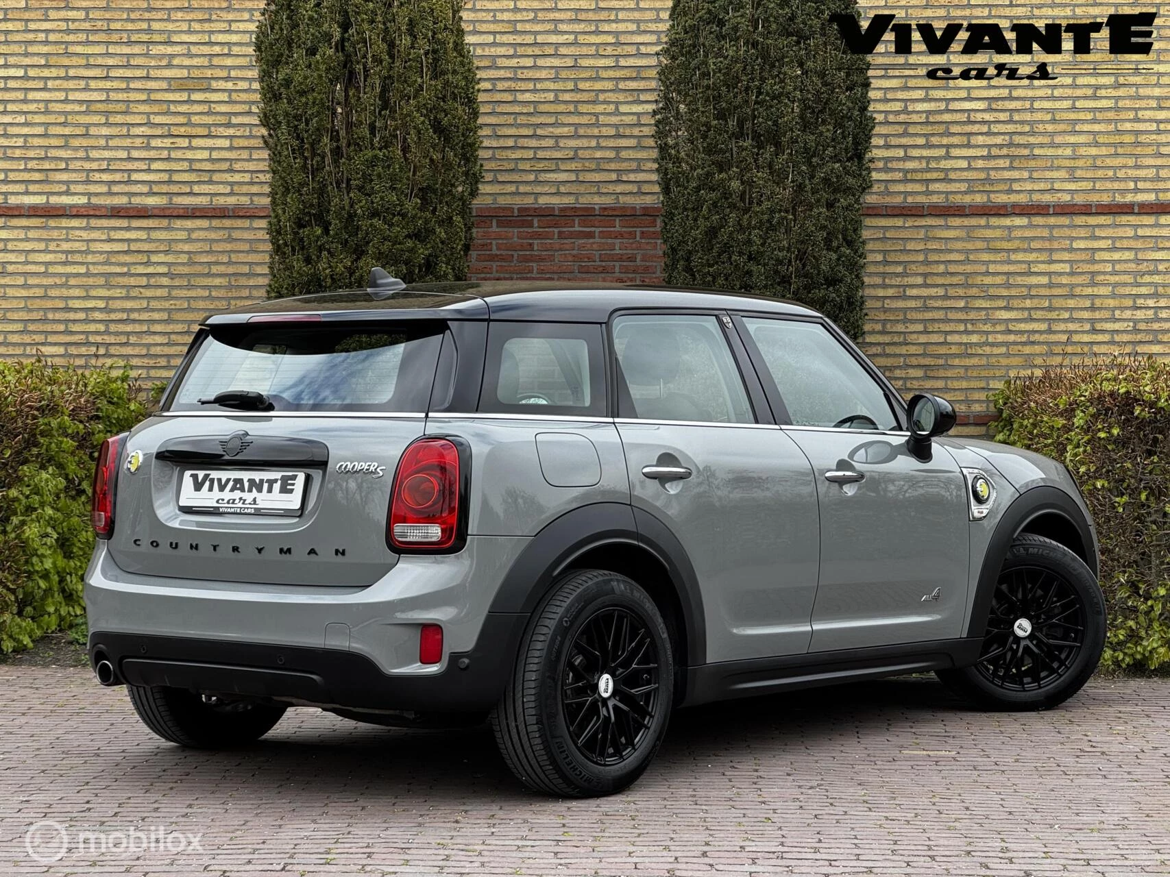 Hoofdafbeelding MINI Countryman