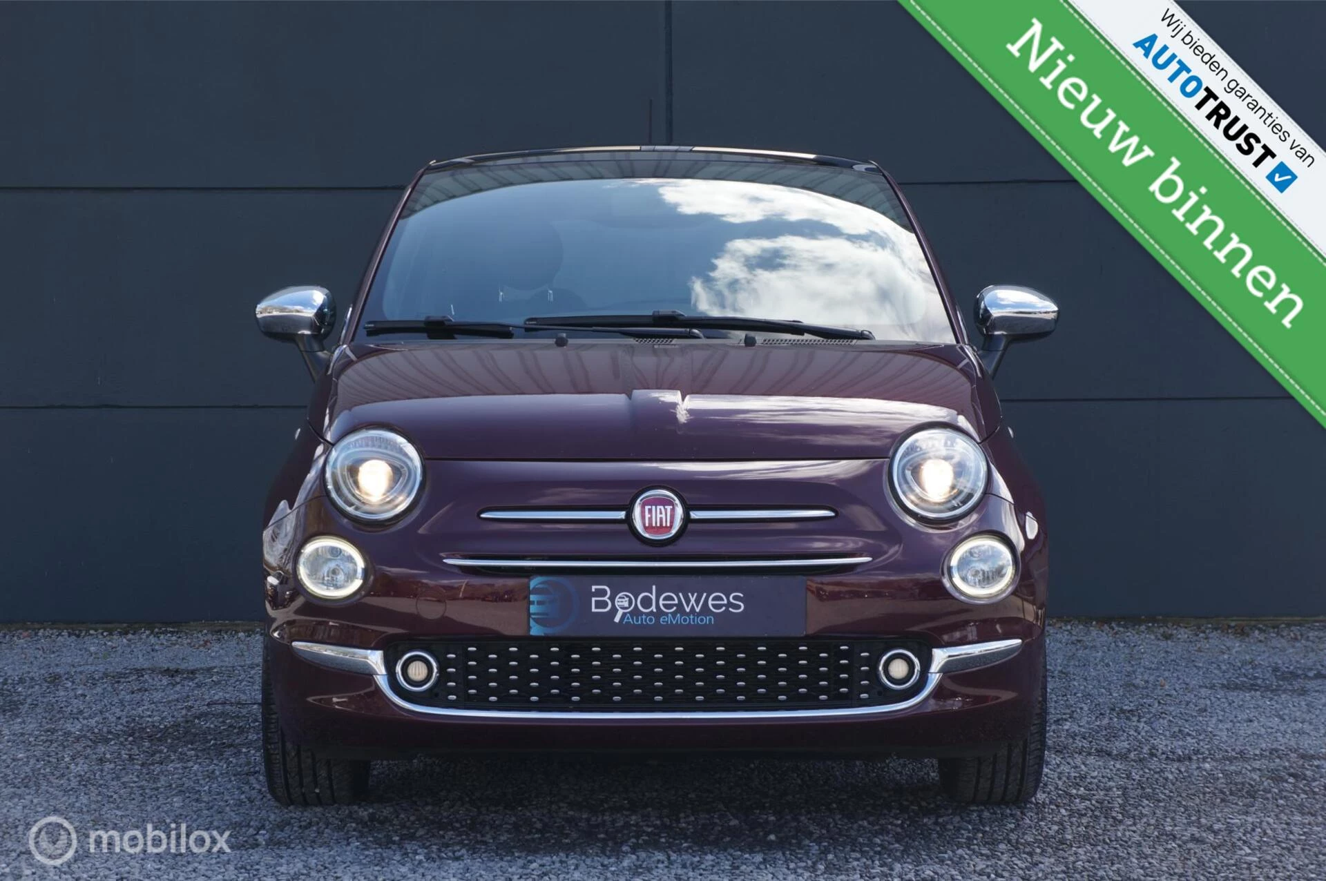 Hoofdafbeelding Fiat 500