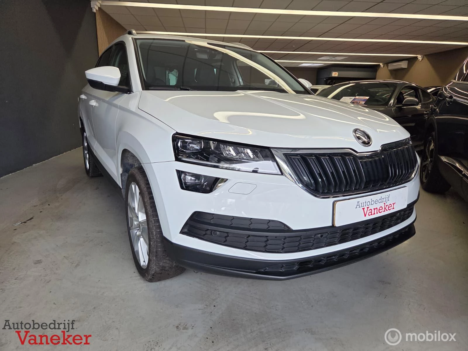Hoofdafbeelding Škoda Karoq