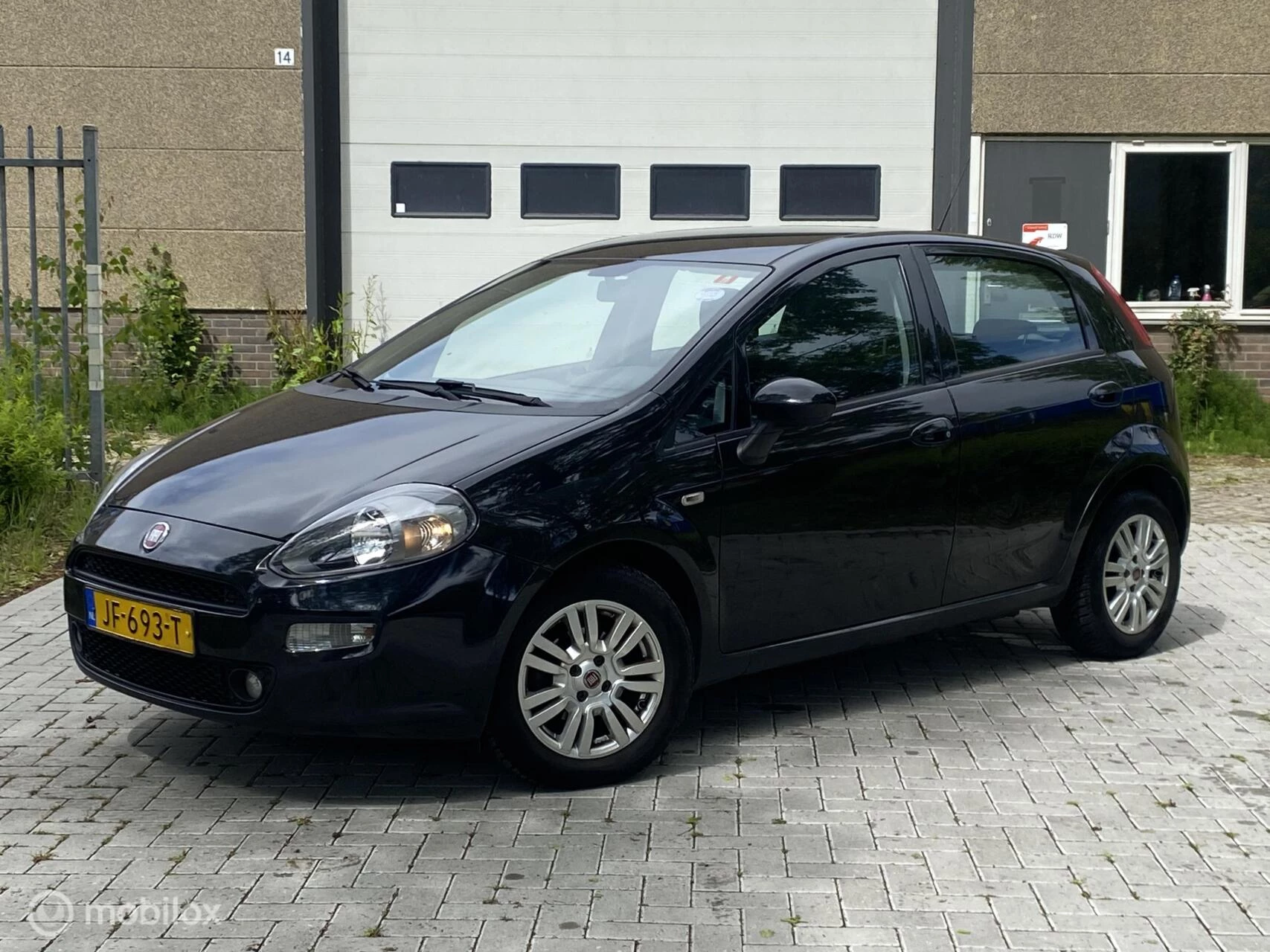 Hoofdafbeelding Fiat Punto