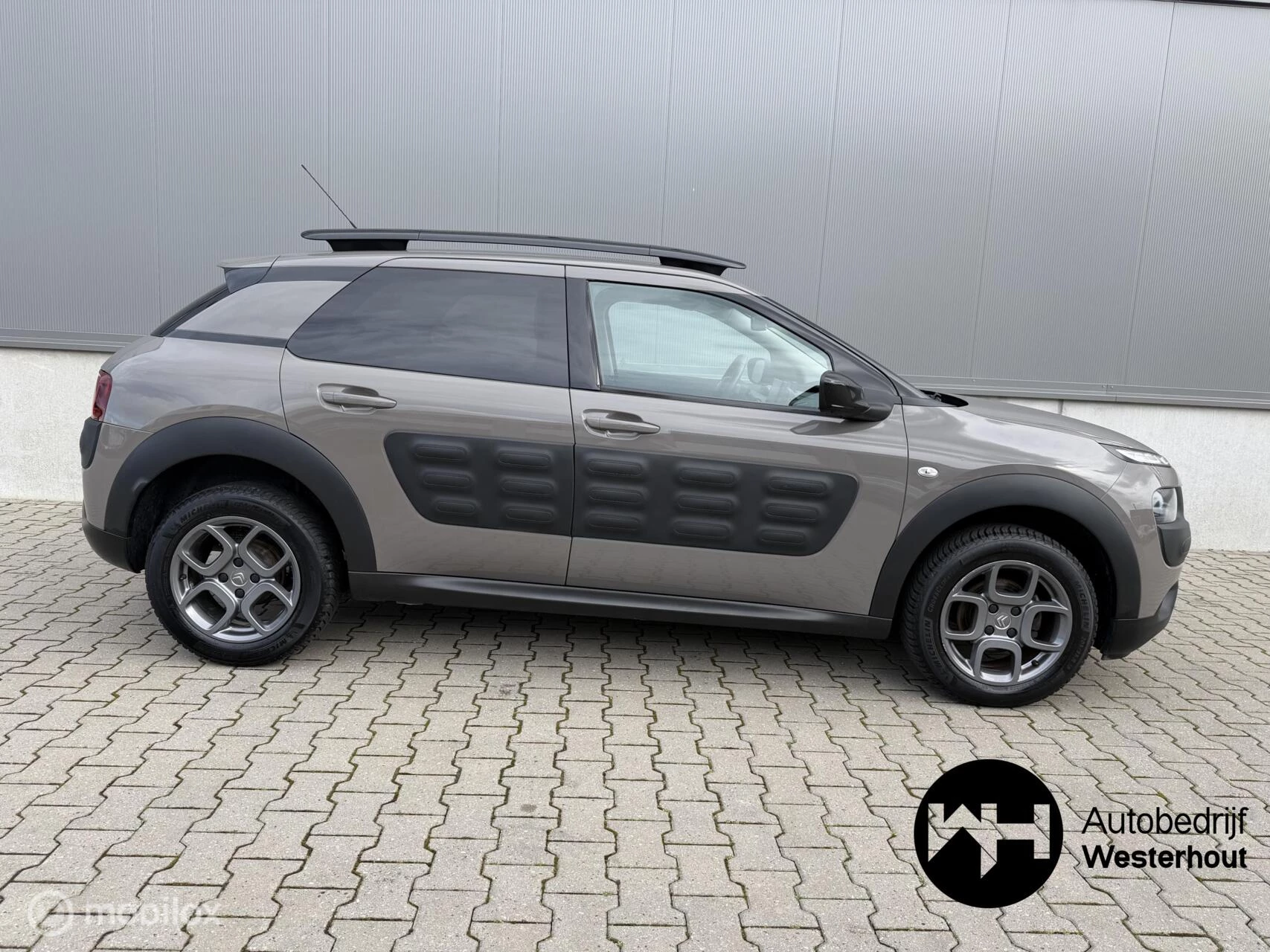 Hoofdafbeelding Citroën C4 Cactus