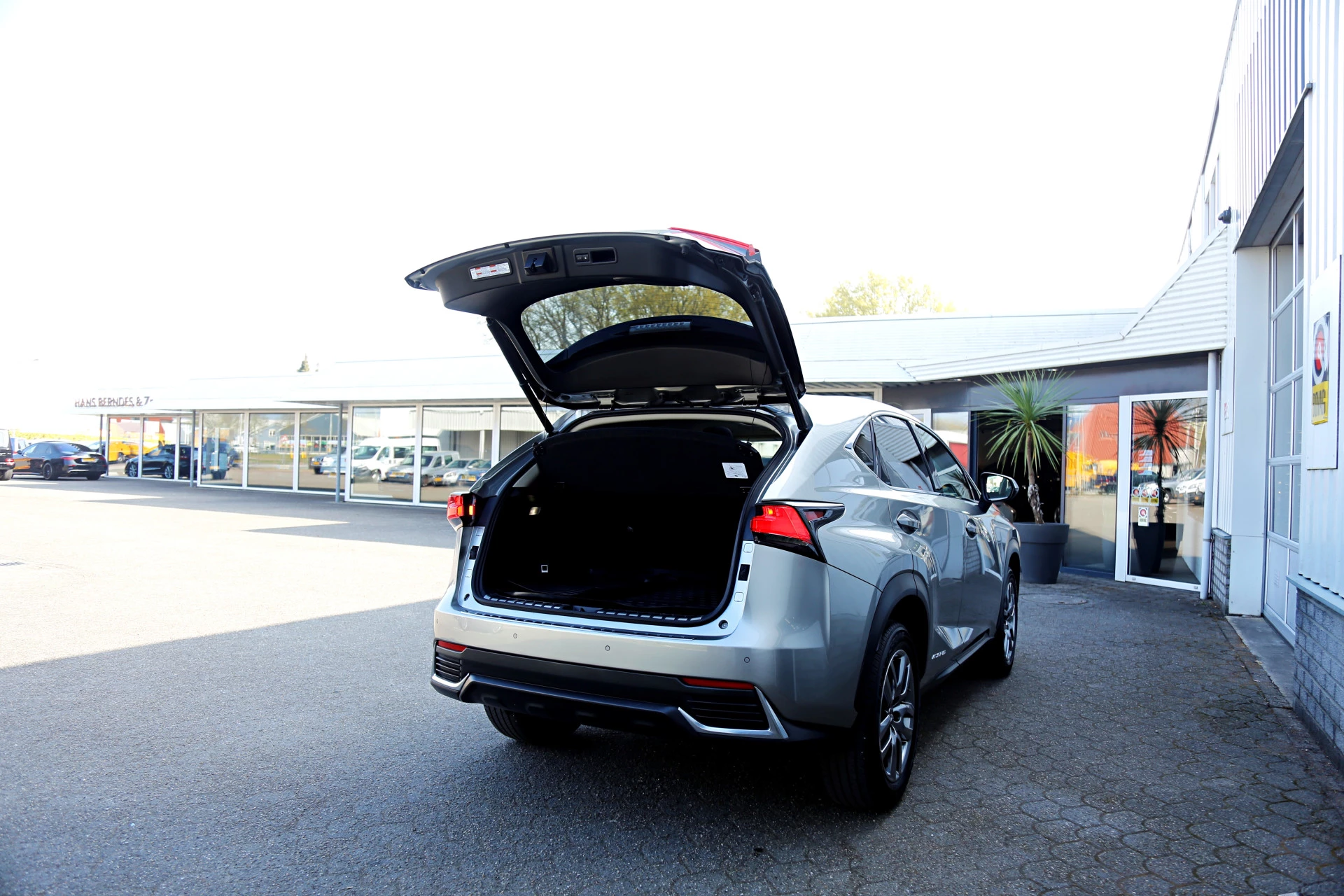 Hoofdafbeelding Lexus NX