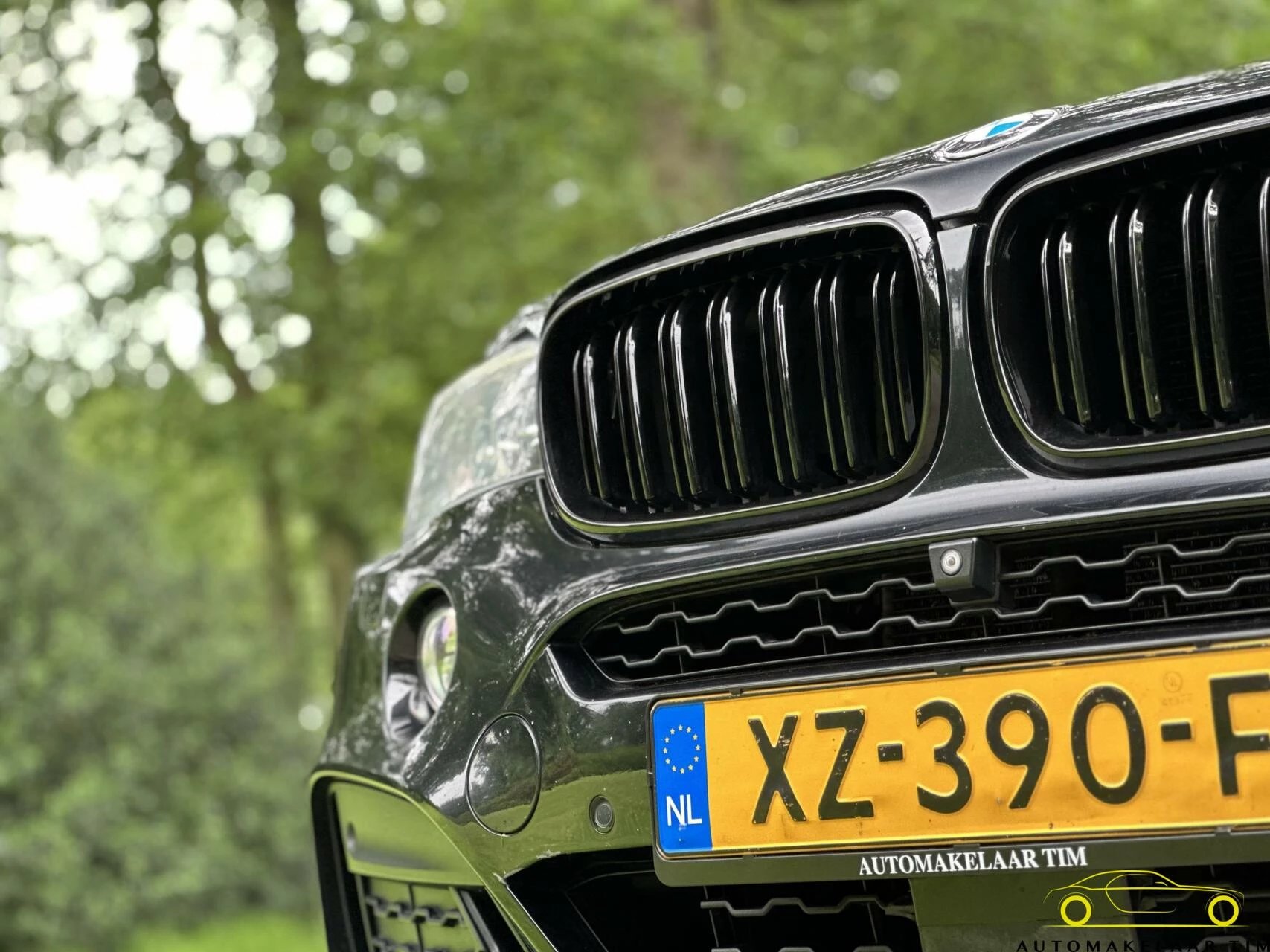 Hoofdafbeelding BMW X6