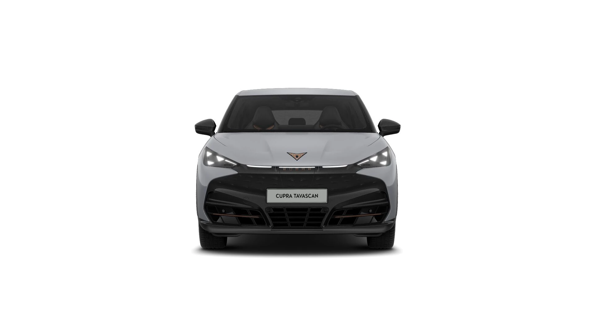 Hoofdafbeelding CUPRA Tavascan