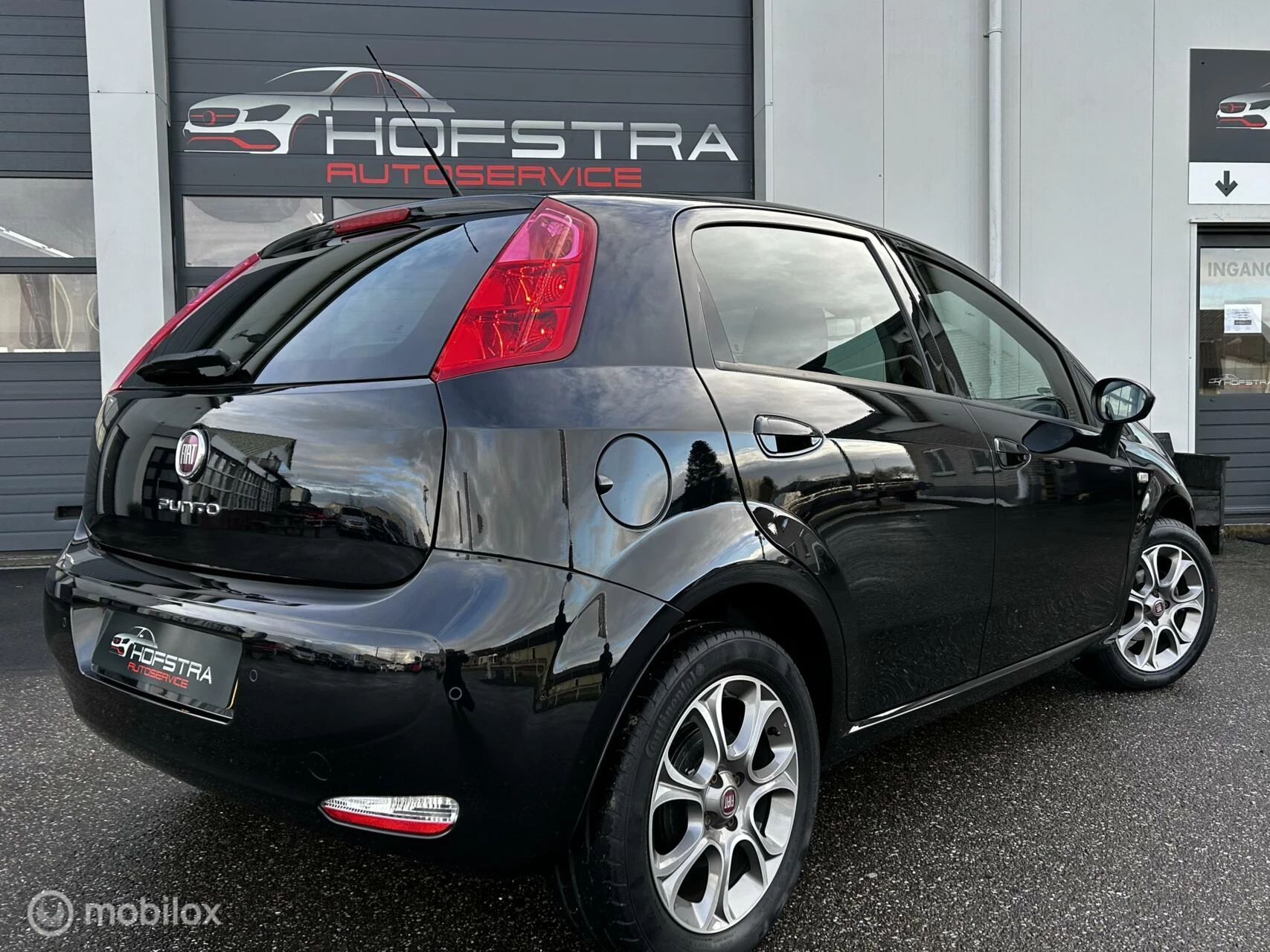 Hoofdafbeelding Fiat Punto