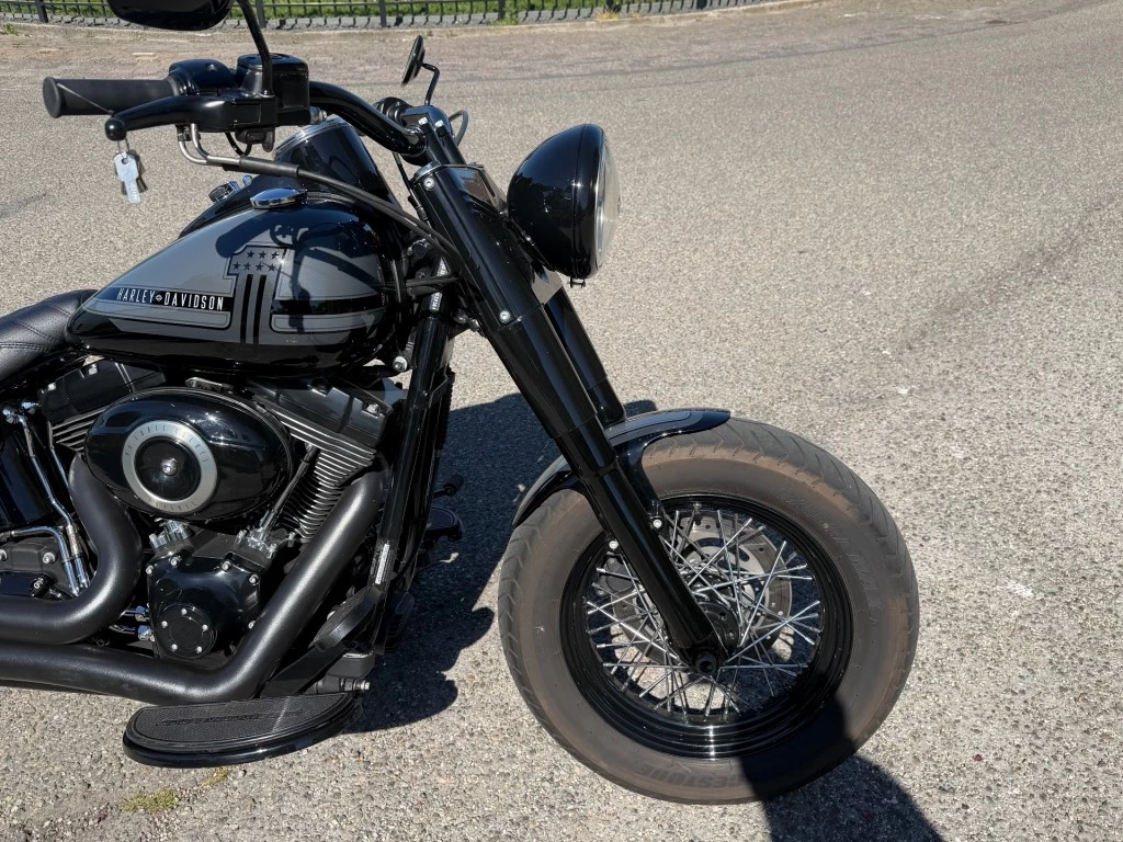 Hoofdafbeelding Harley-Davidson Softail