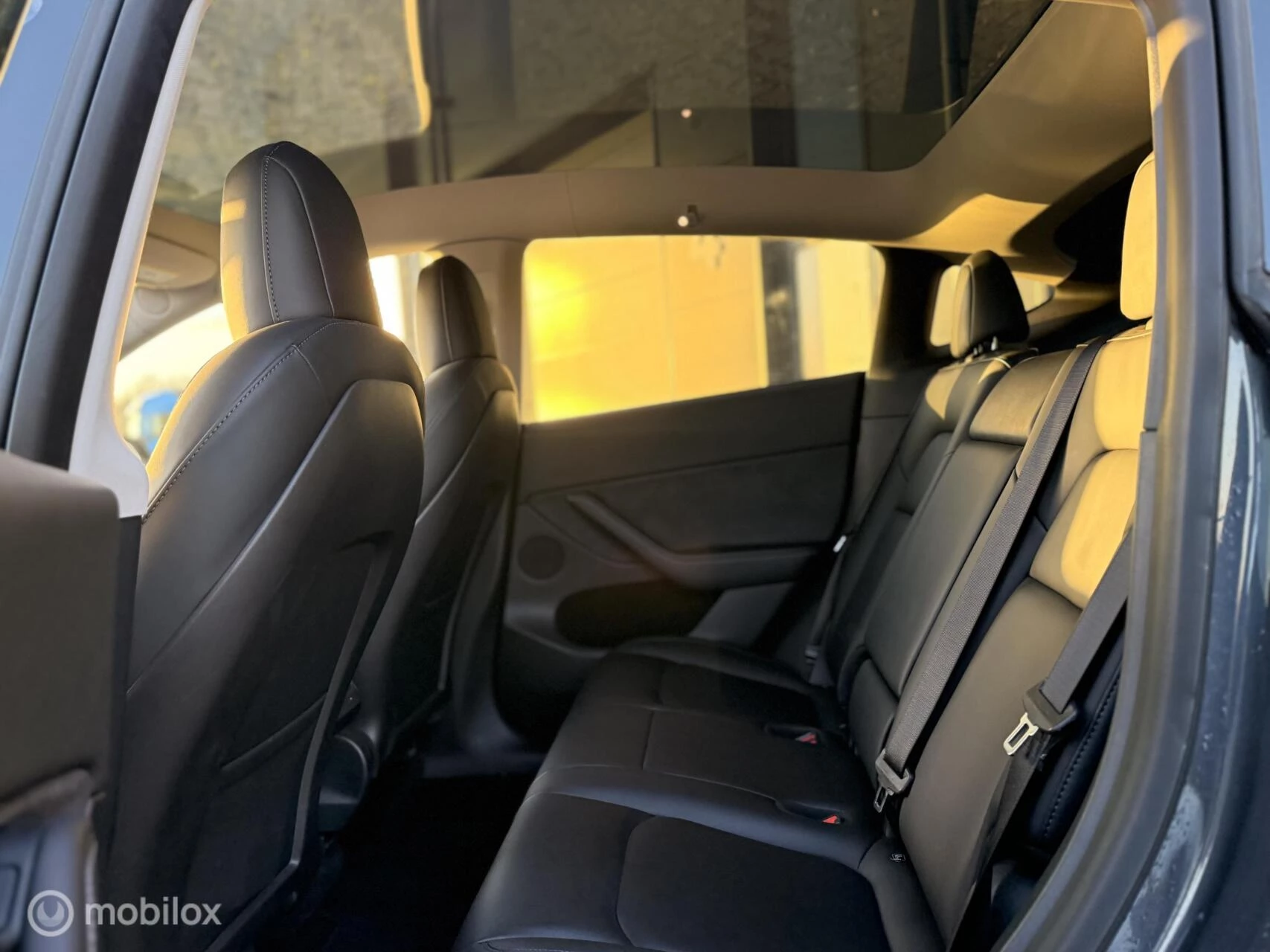 Hoofdafbeelding Tesla Model Y