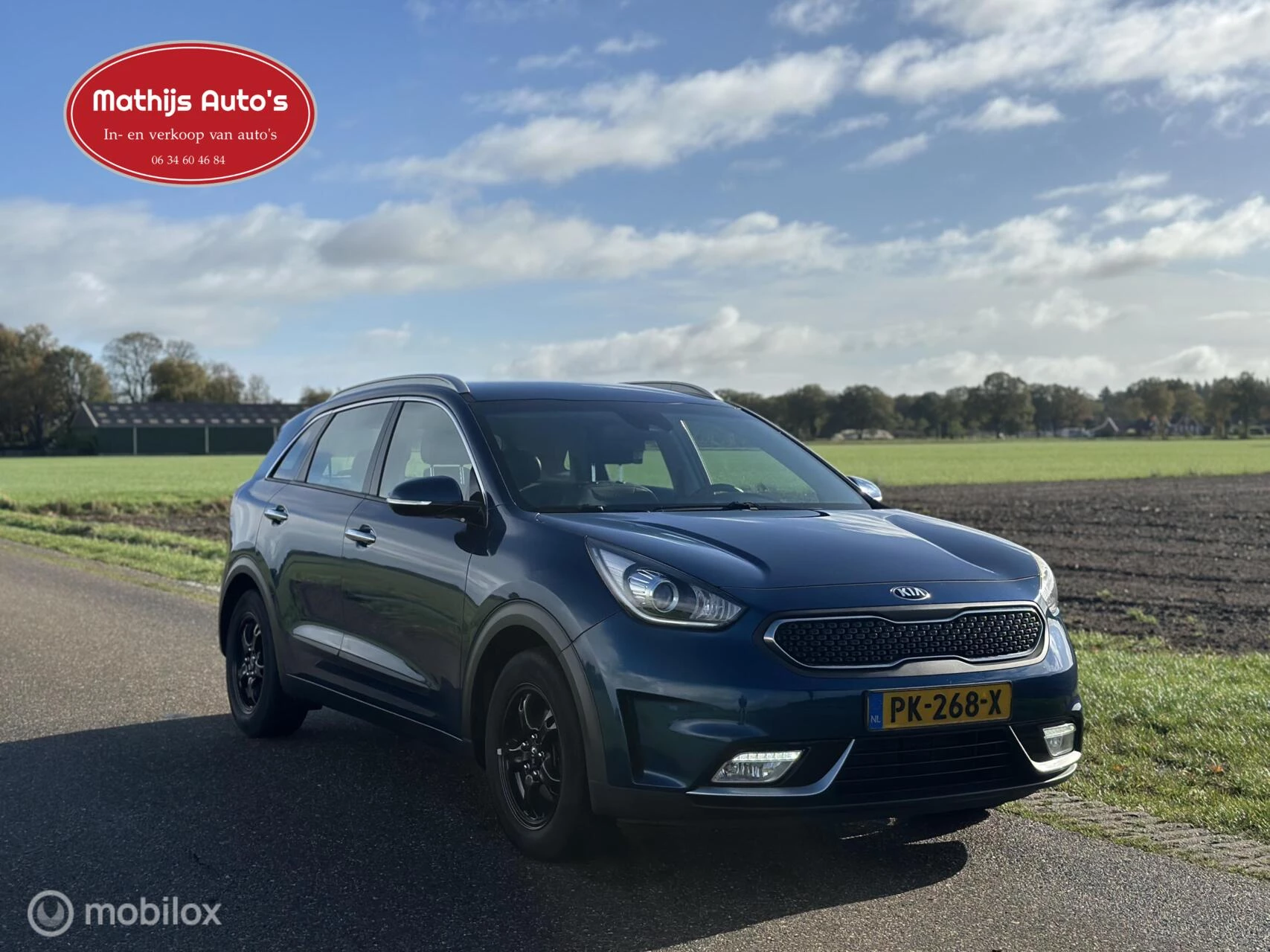 Hoofdafbeelding Kia Niro