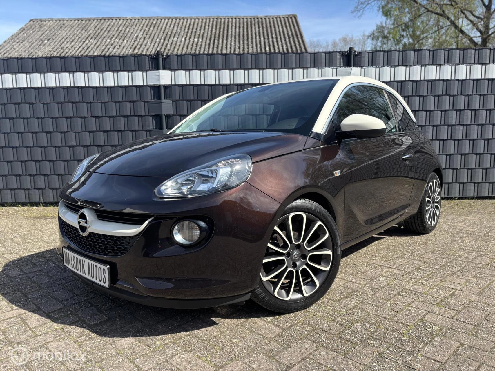 Hoofdafbeelding Opel ADAM