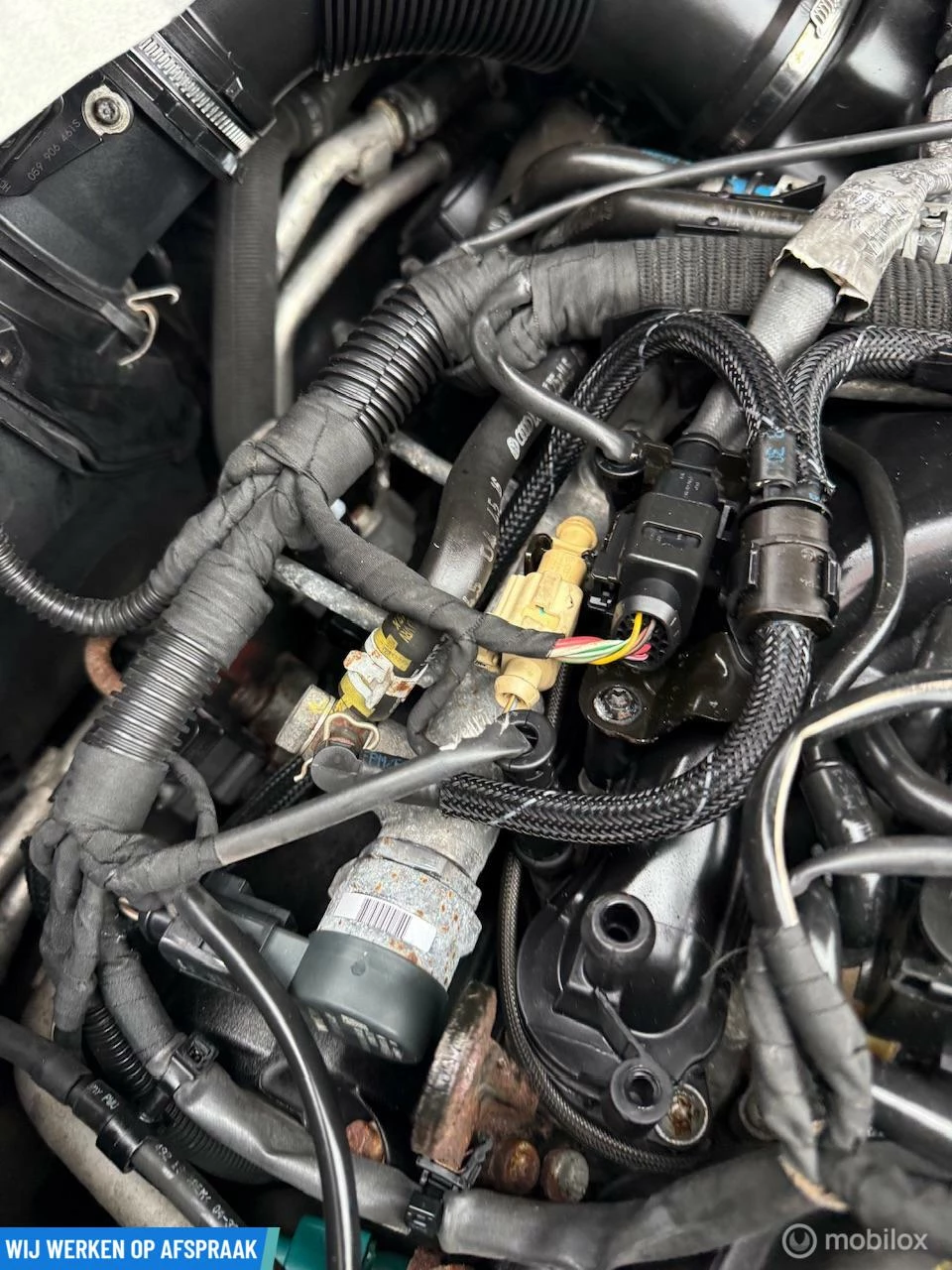 Hoofdafbeelding Audi SQ5