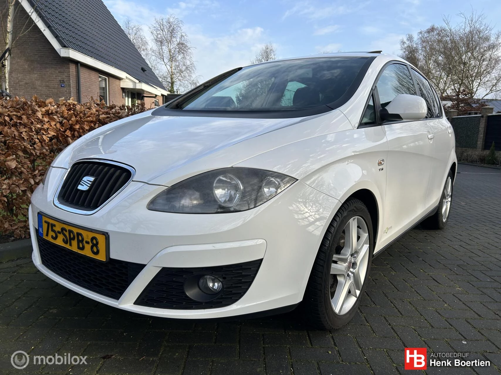 Hoofdafbeelding SEAT Altea