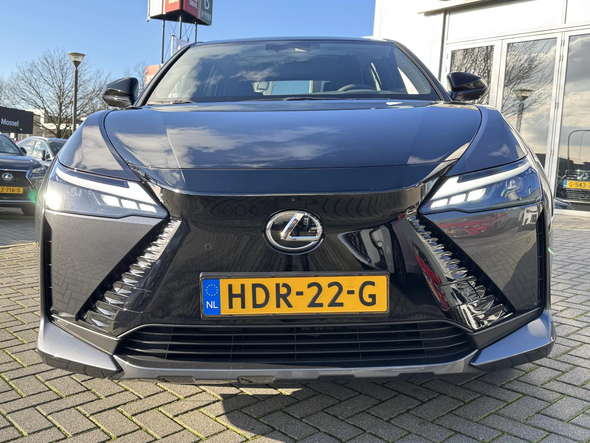 Hoofdafbeelding Lexus RZ