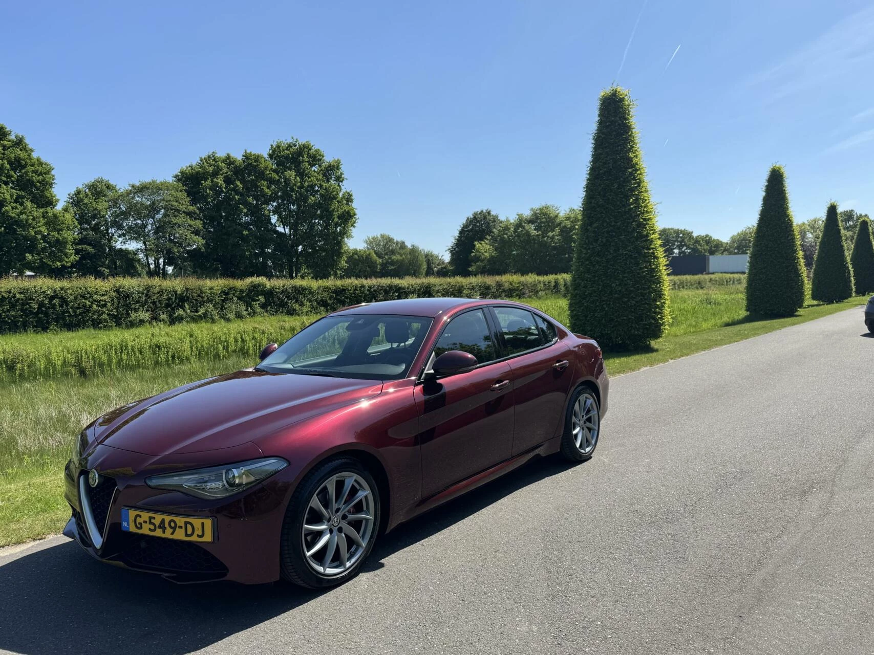 Hoofdafbeelding Alfa Romeo Giulia