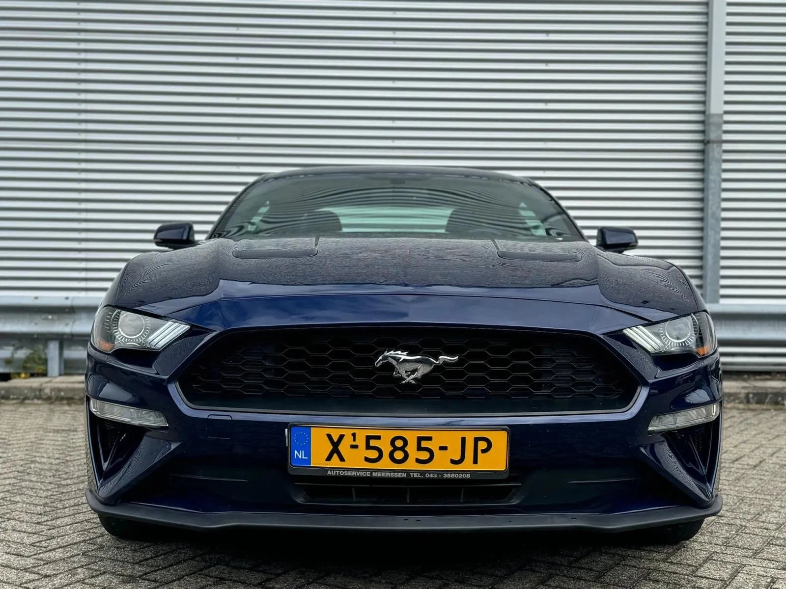 Hoofdafbeelding Ford Mustang