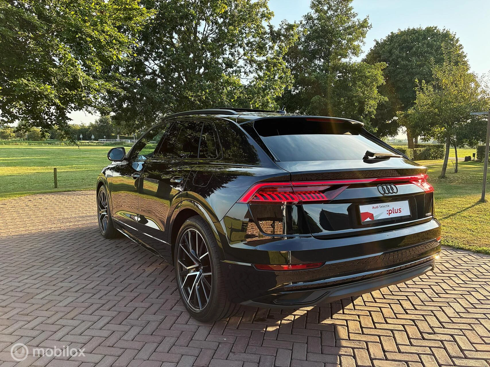Hoofdafbeelding Audi Q8