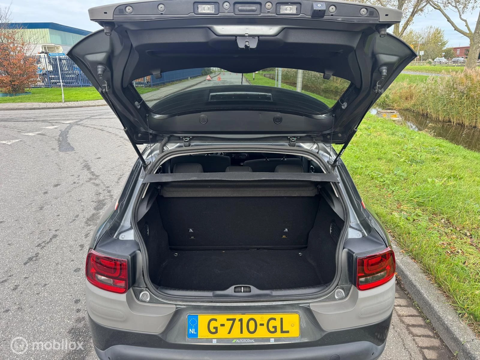 Hoofdafbeelding Citroën C4 Cactus