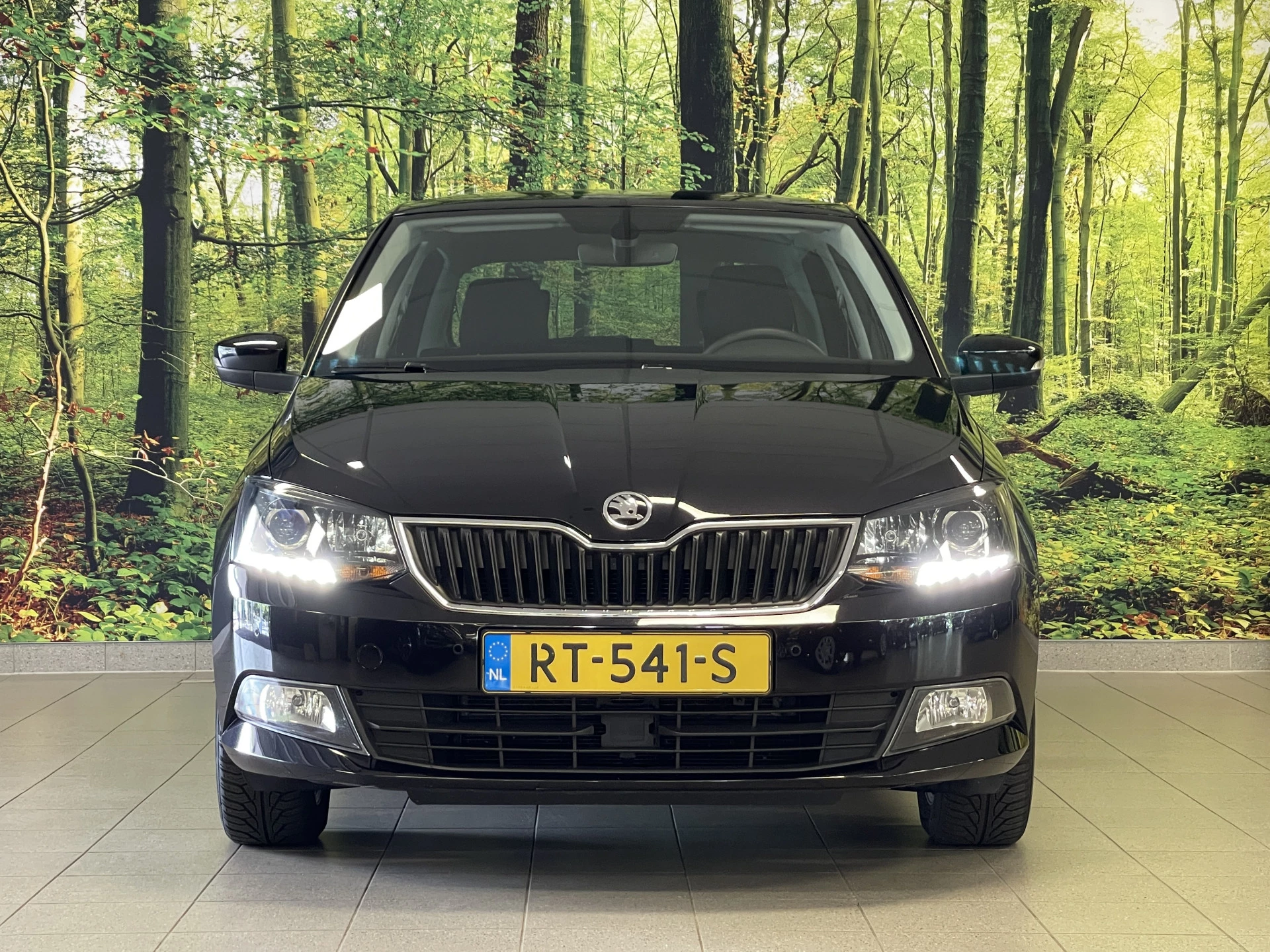 Hoofdafbeelding Škoda Fabia