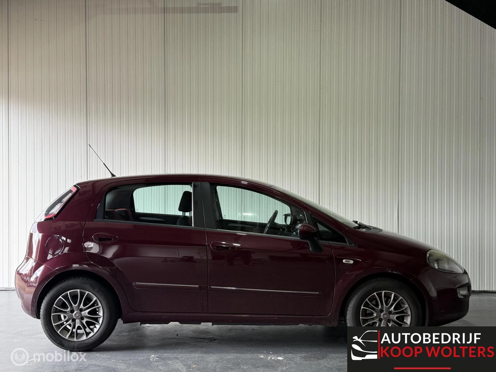 Hoofdafbeelding Fiat Punto