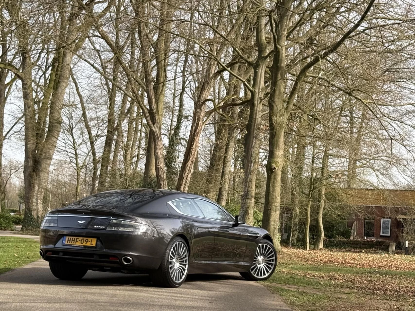 Hoofdafbeelding Aston Martin Rapide