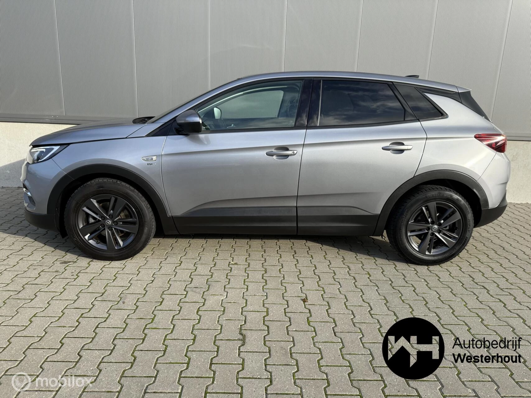 Hoofdafbeelding Opel Grandland X