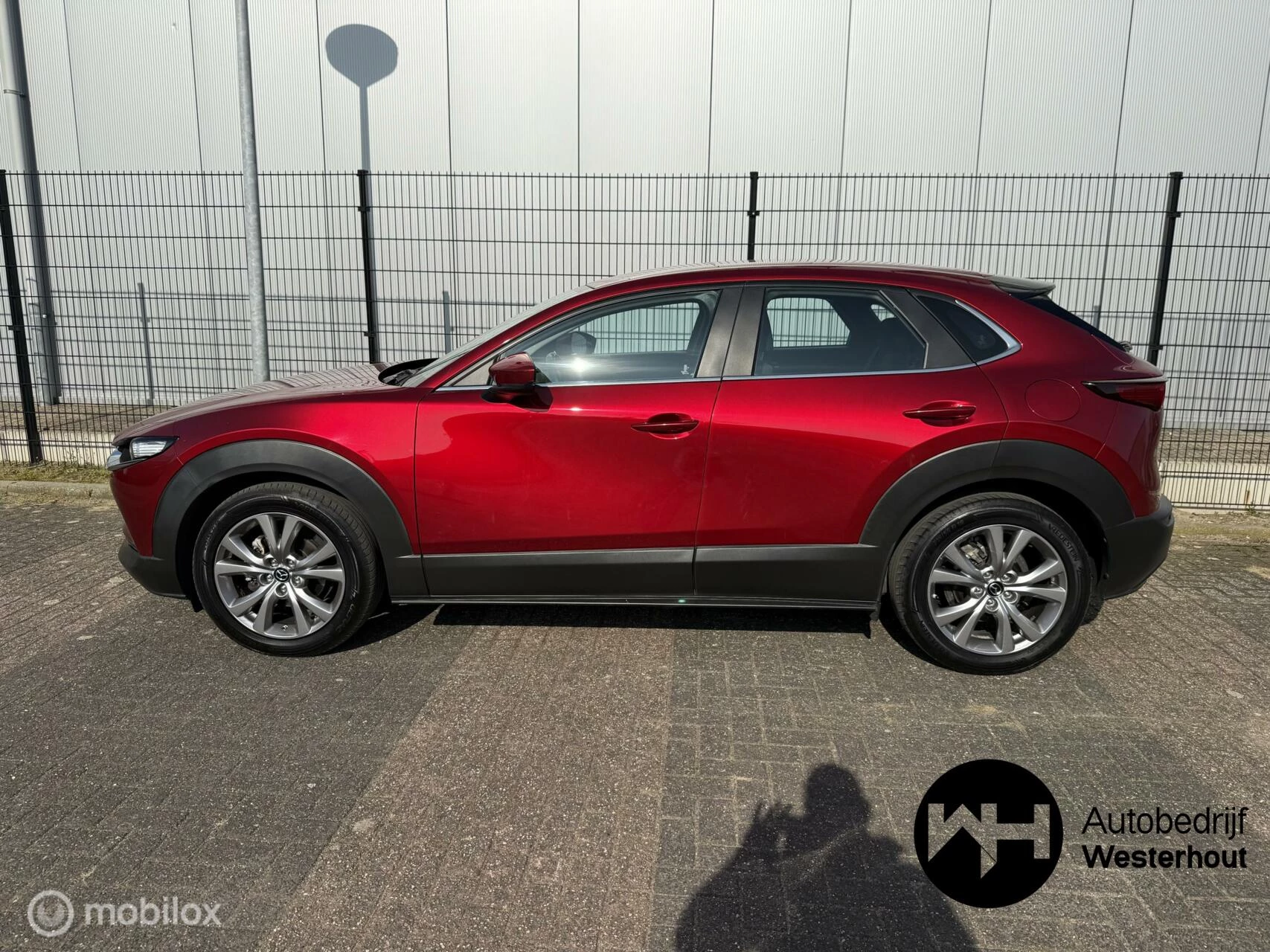 Hoofdafbeelding Mazda CX-30